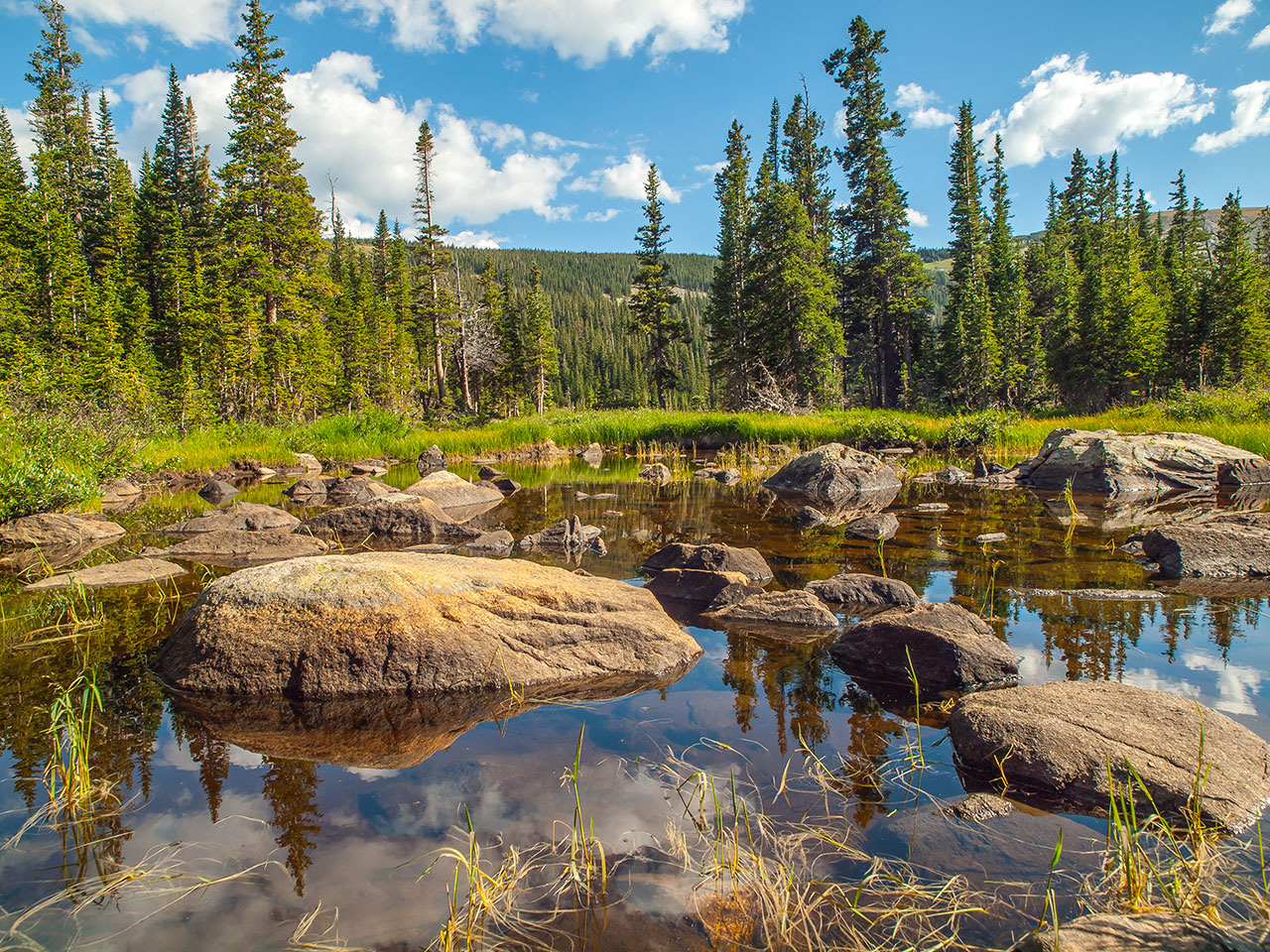 Lake Water Rocks And Trees Landscape Image Free Stock Photo