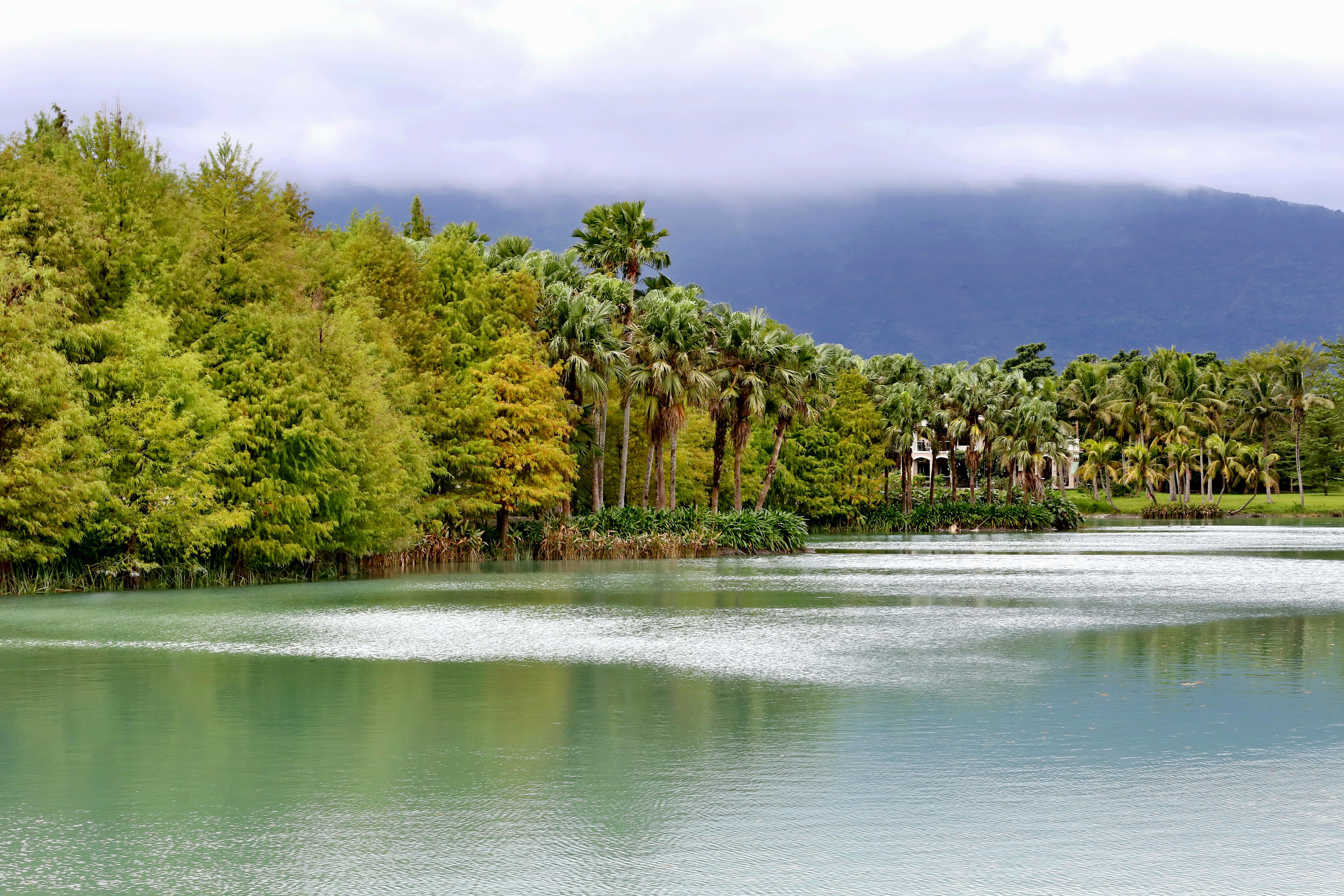 River and landscape picture image - Free stock photo - Public Domain