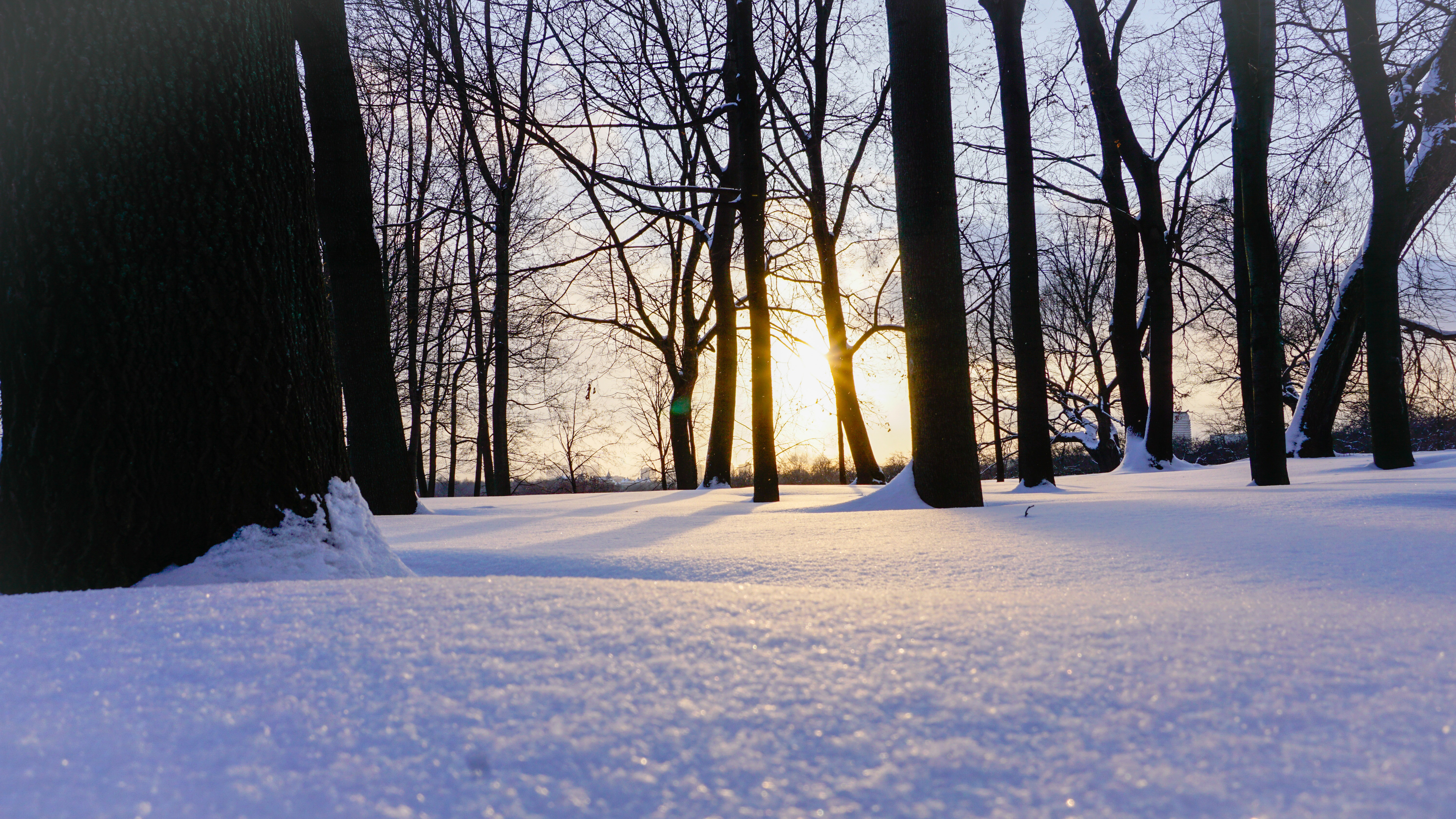 Free Images Of Snowy Landscapes - Mouthwash