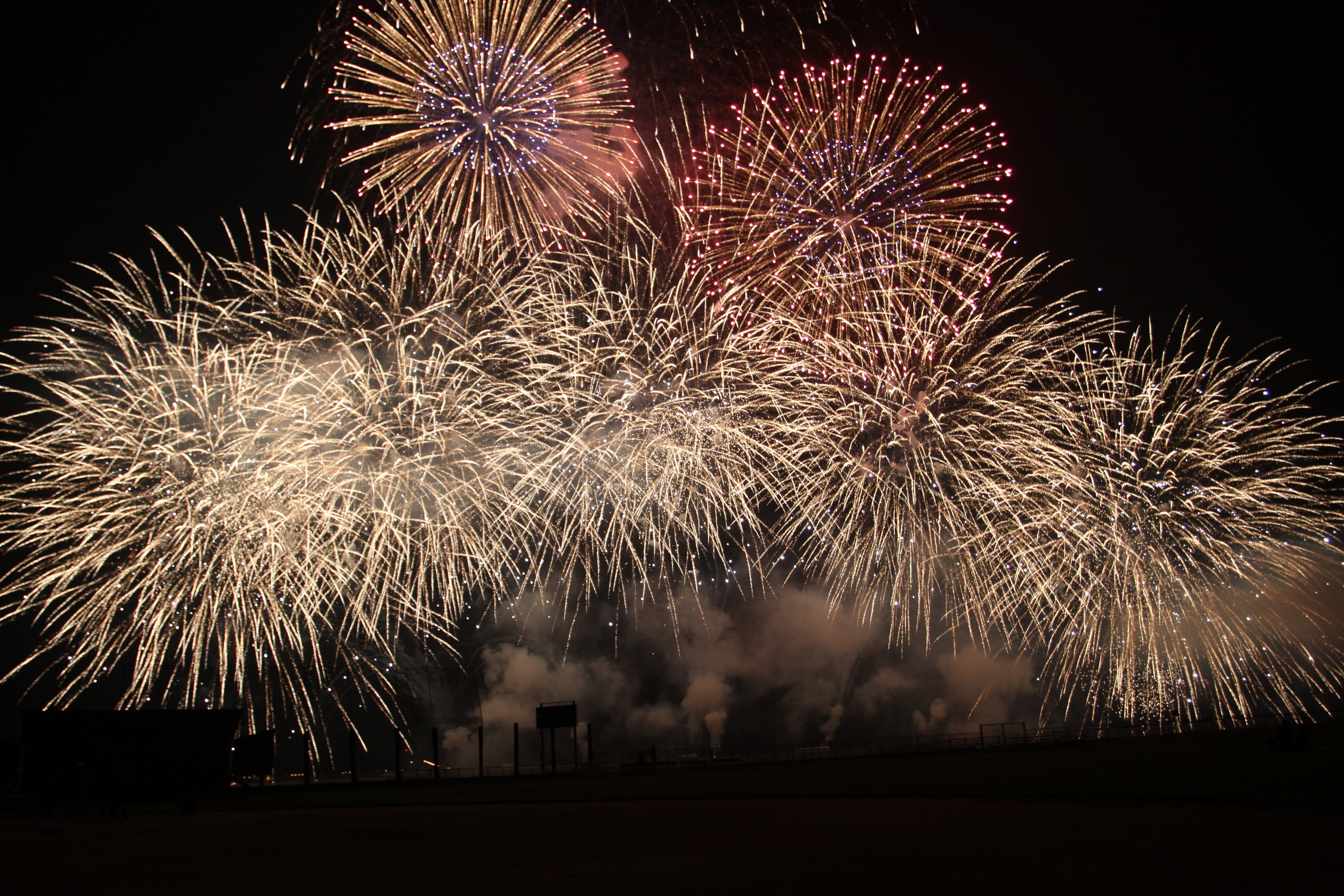 Fireworks in the Sky image - Free stock photo - Public Domain photo ...