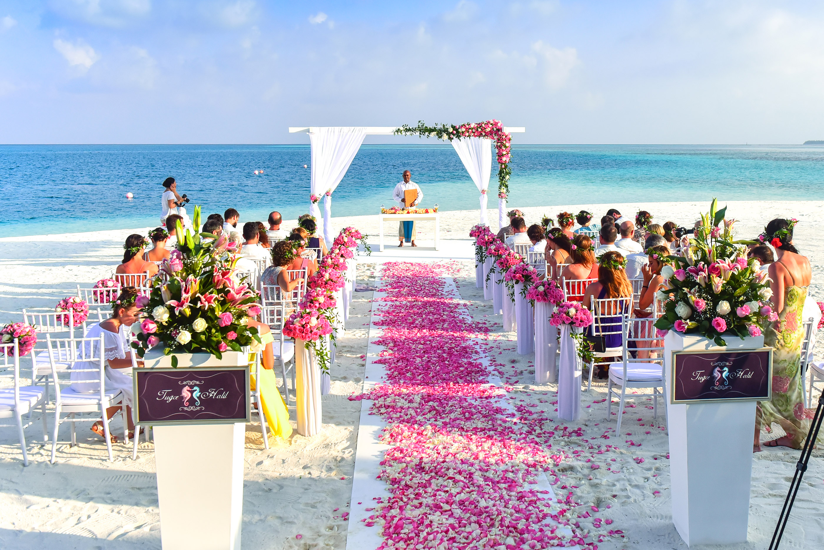 Seaside Wedding with rose walkway image - Free stock photo - Public Domain photo - CC0 Images