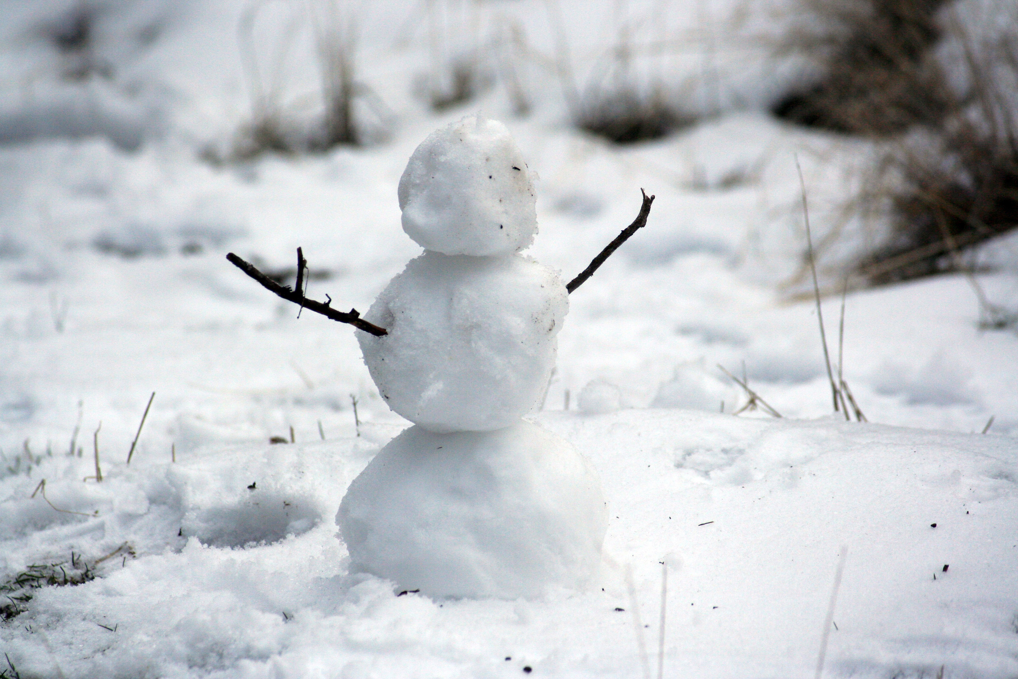 small-snowman-in-winter.jpg