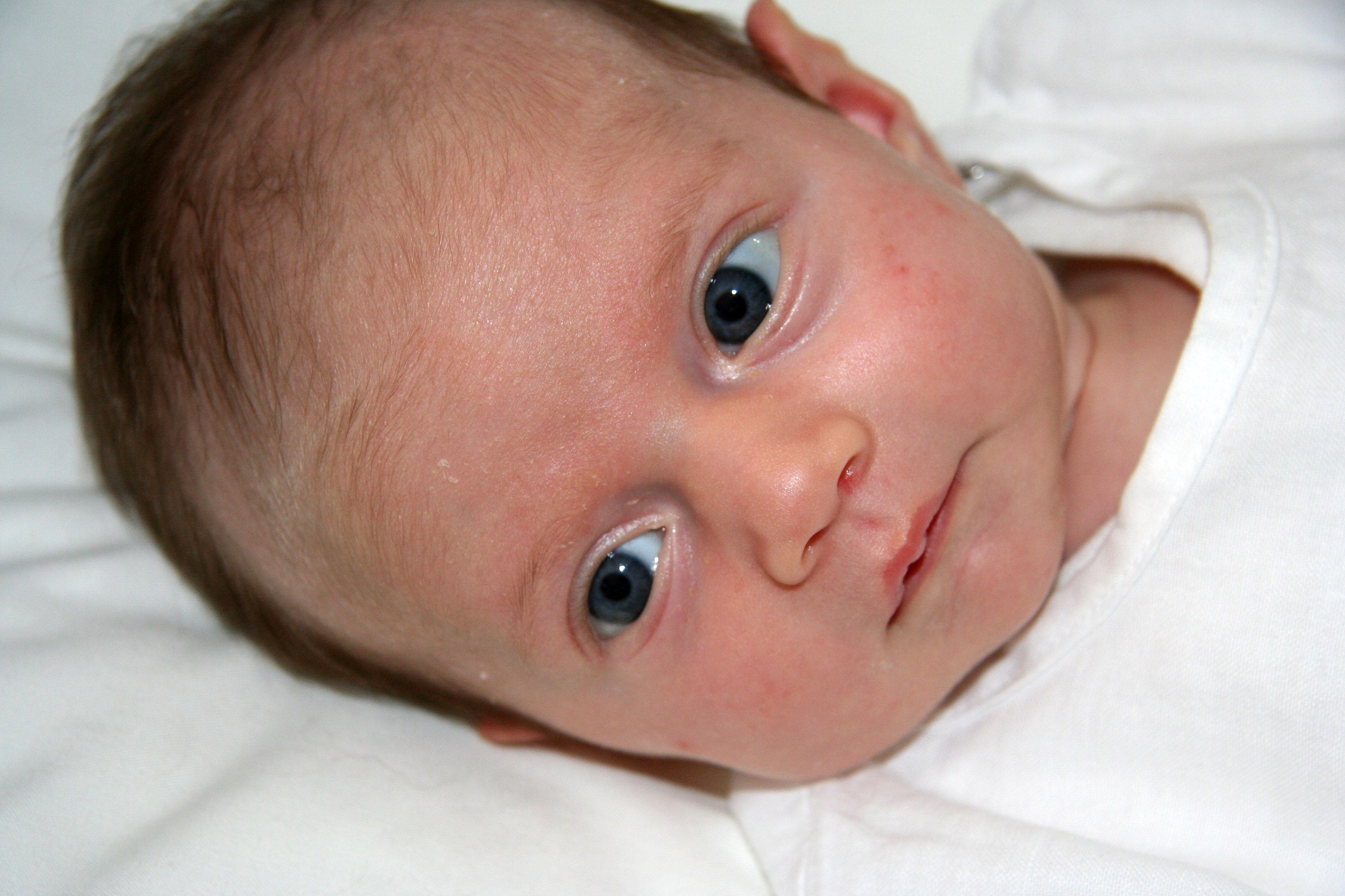 newborn baby blue eyes