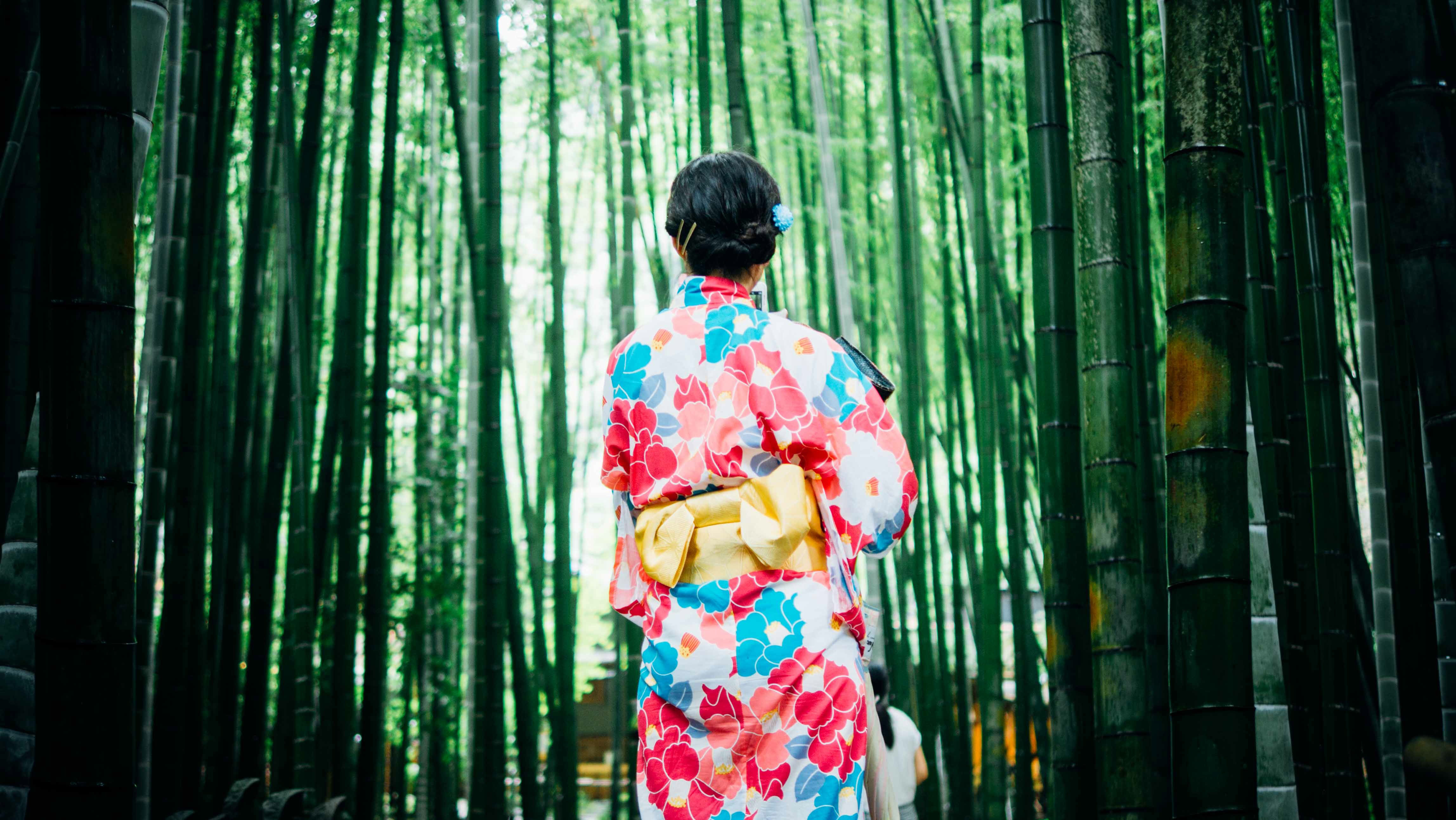 women-in-kimono-in-japan image - Free stock photo - Public Domain photo - CC0 Images