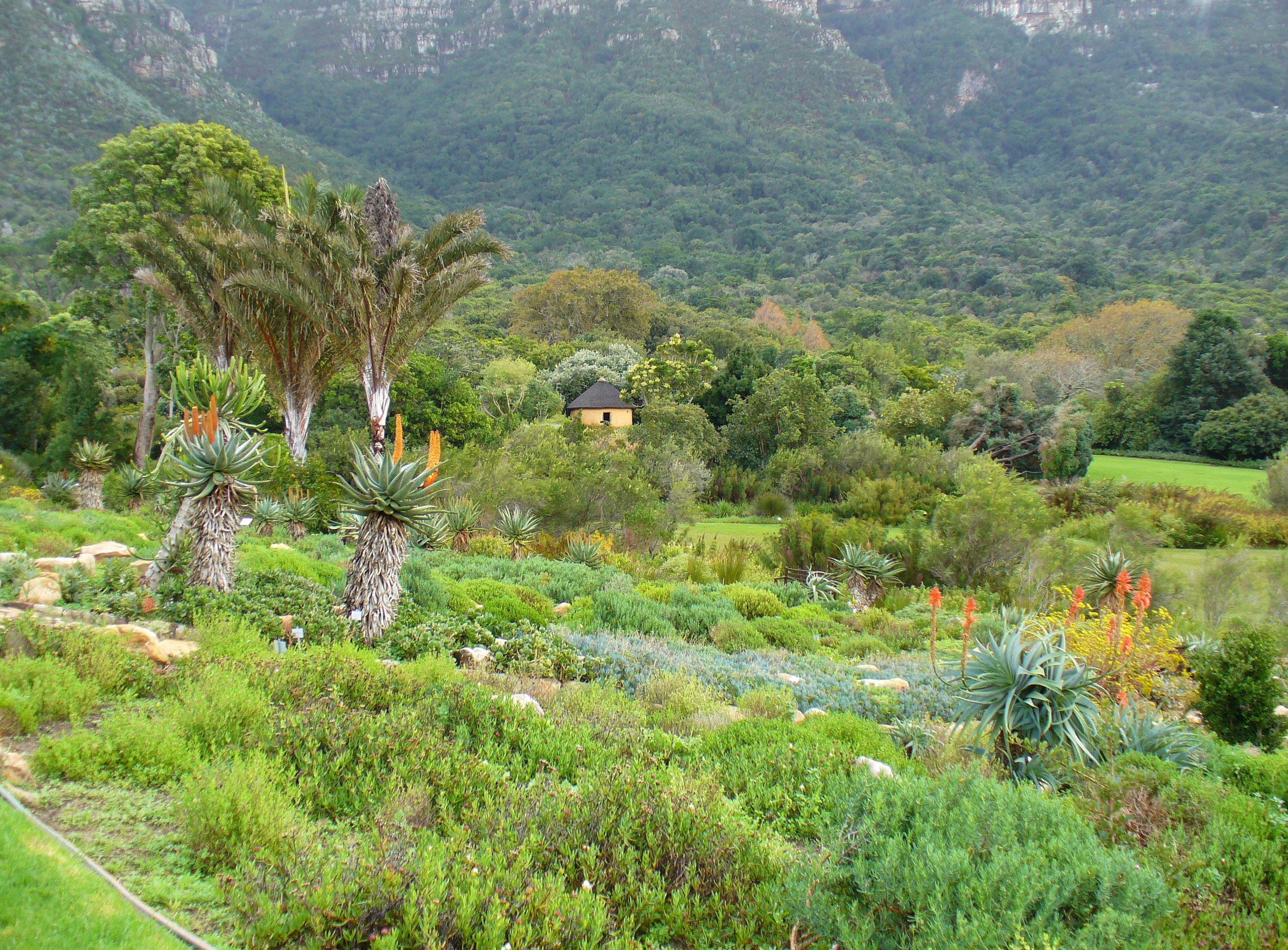 New Rock Gardens South Africa for Small Space