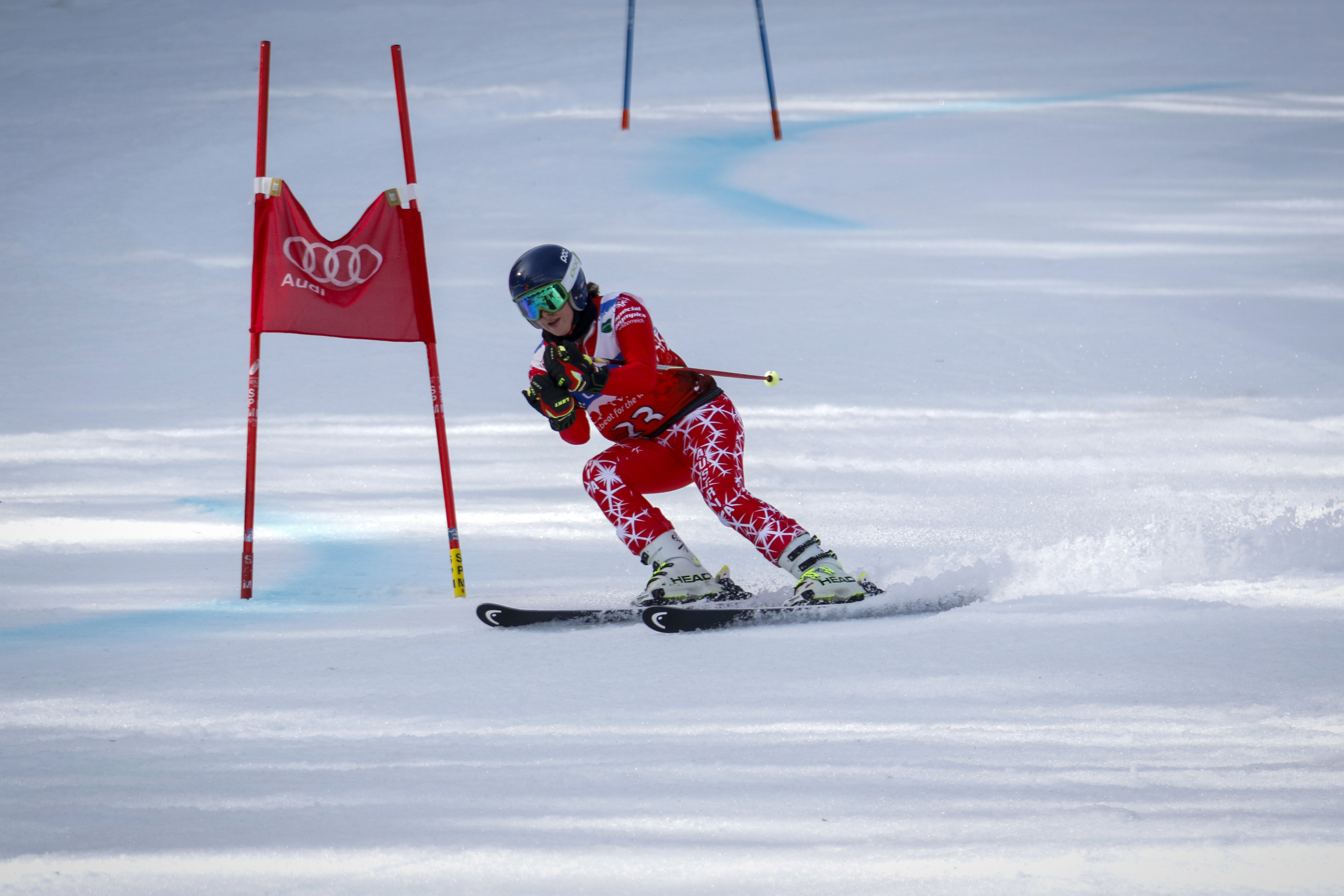Skier running a Giant Slalom Course image Free stock photo Public