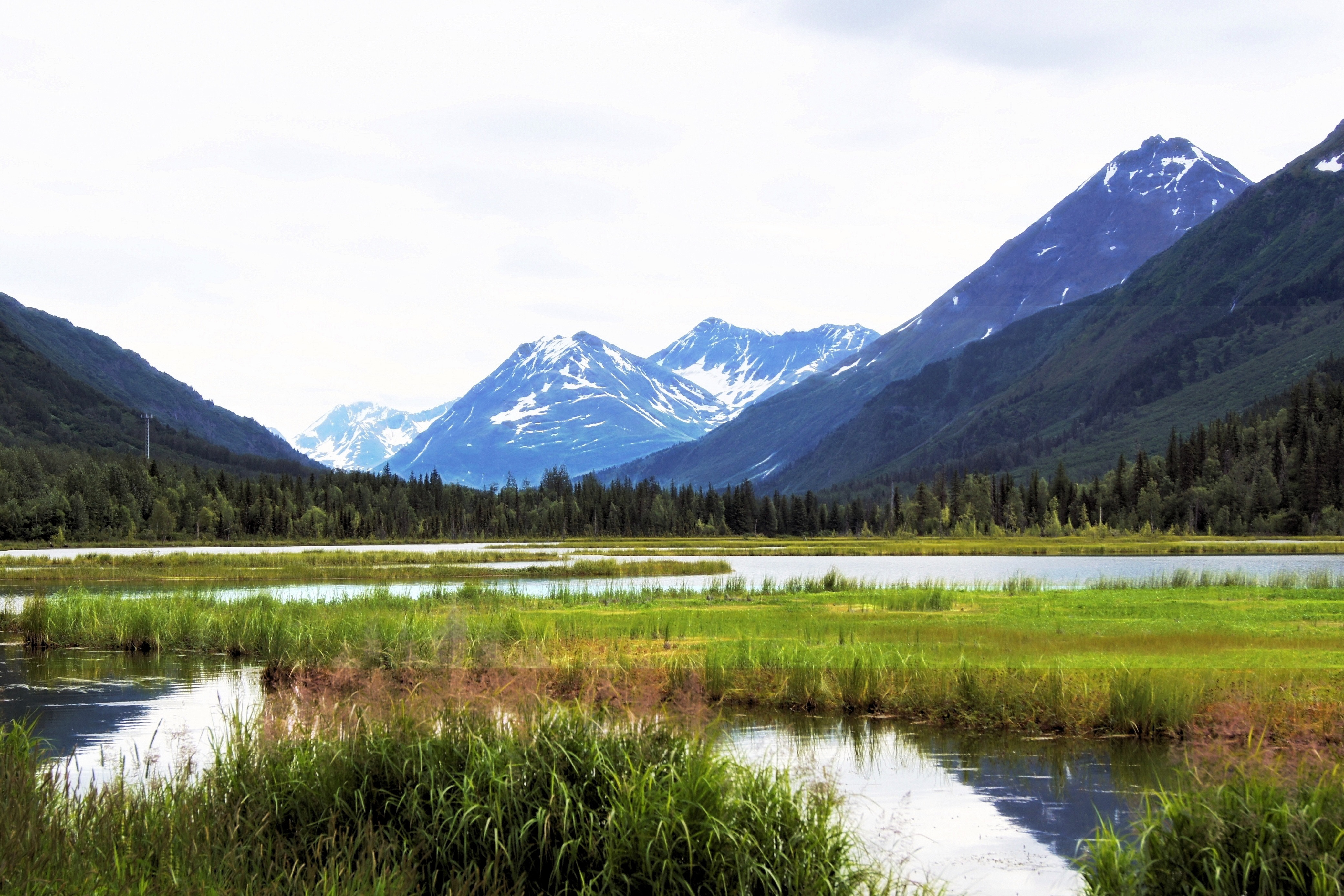 Landscape with Mountains with wetlands in Alaska image - Free stock