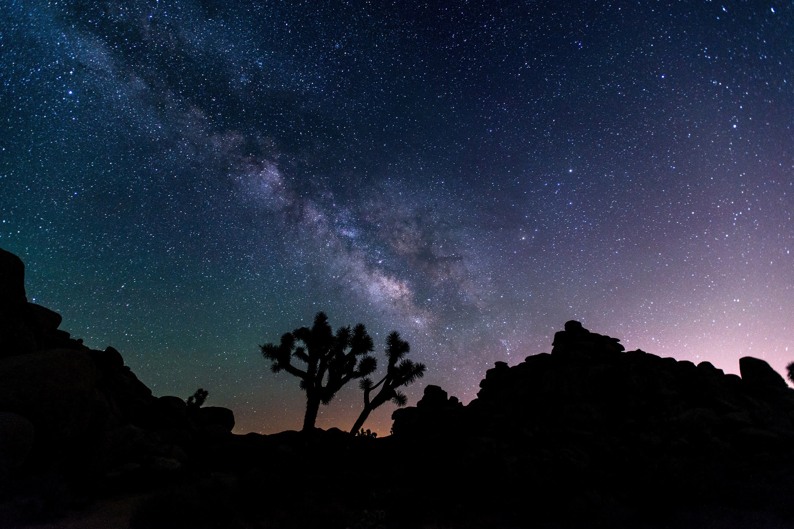 Night Landscape Trees And Galaxy At Joshua Tree National Park