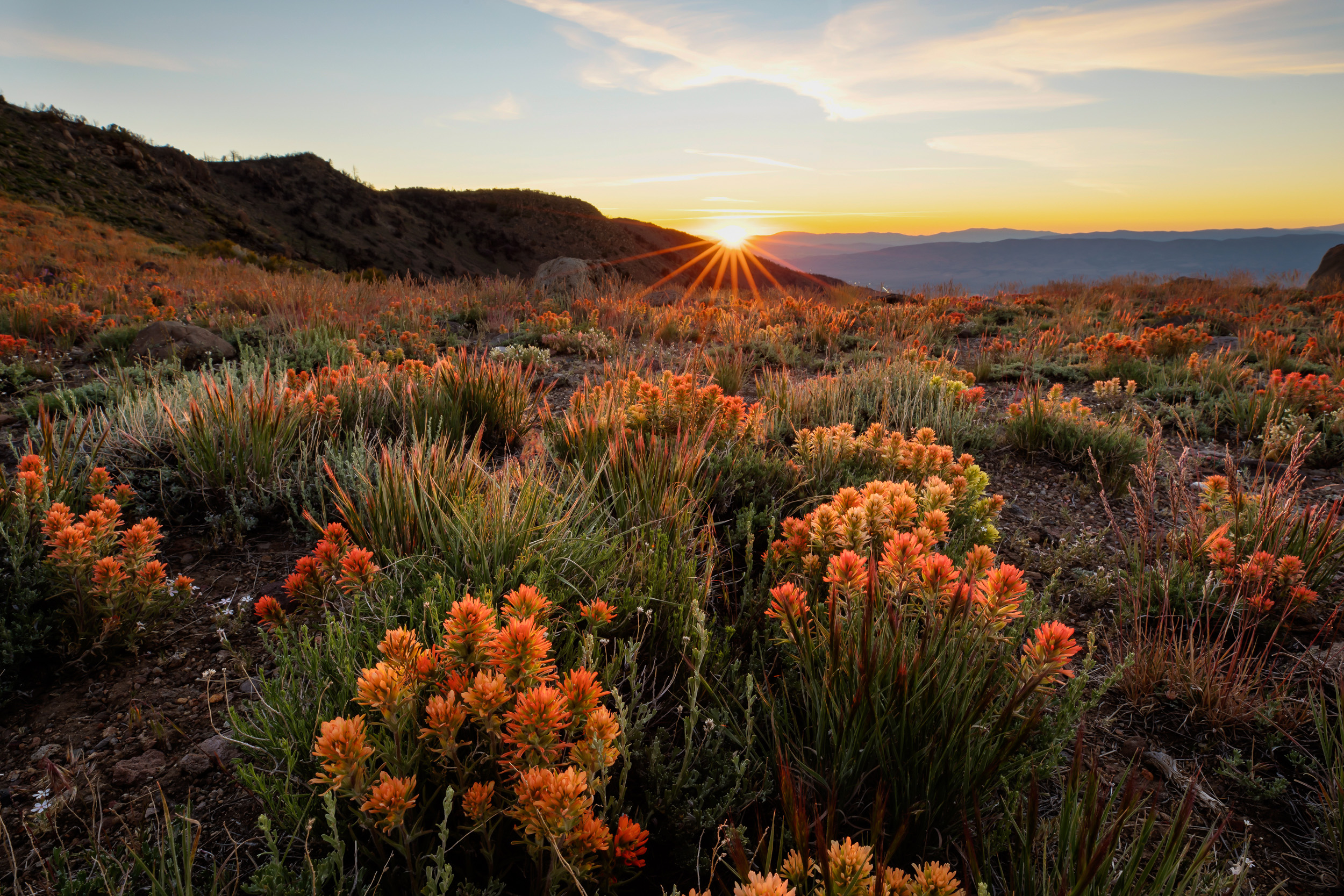 Monitor Pass Landscape With Sunset And Flowers Image Free Stock