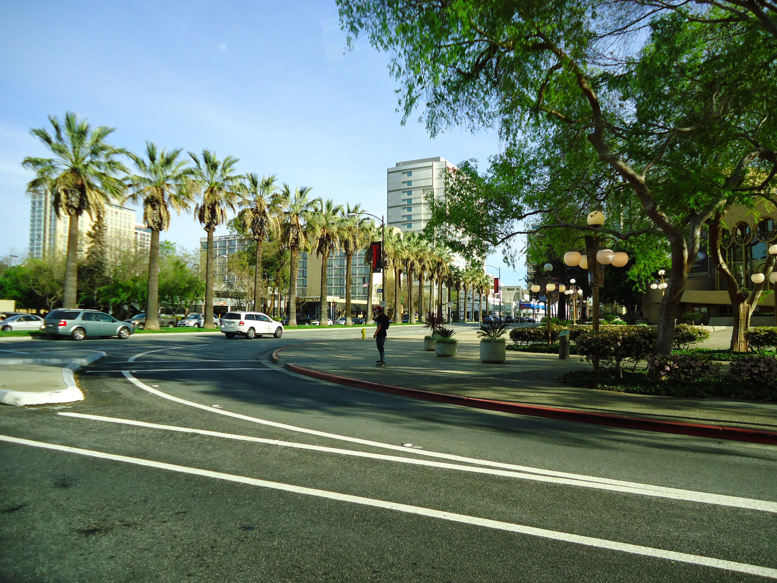 Downtown San Jose with trees and street in San Jose, California image - Free stock photo ...