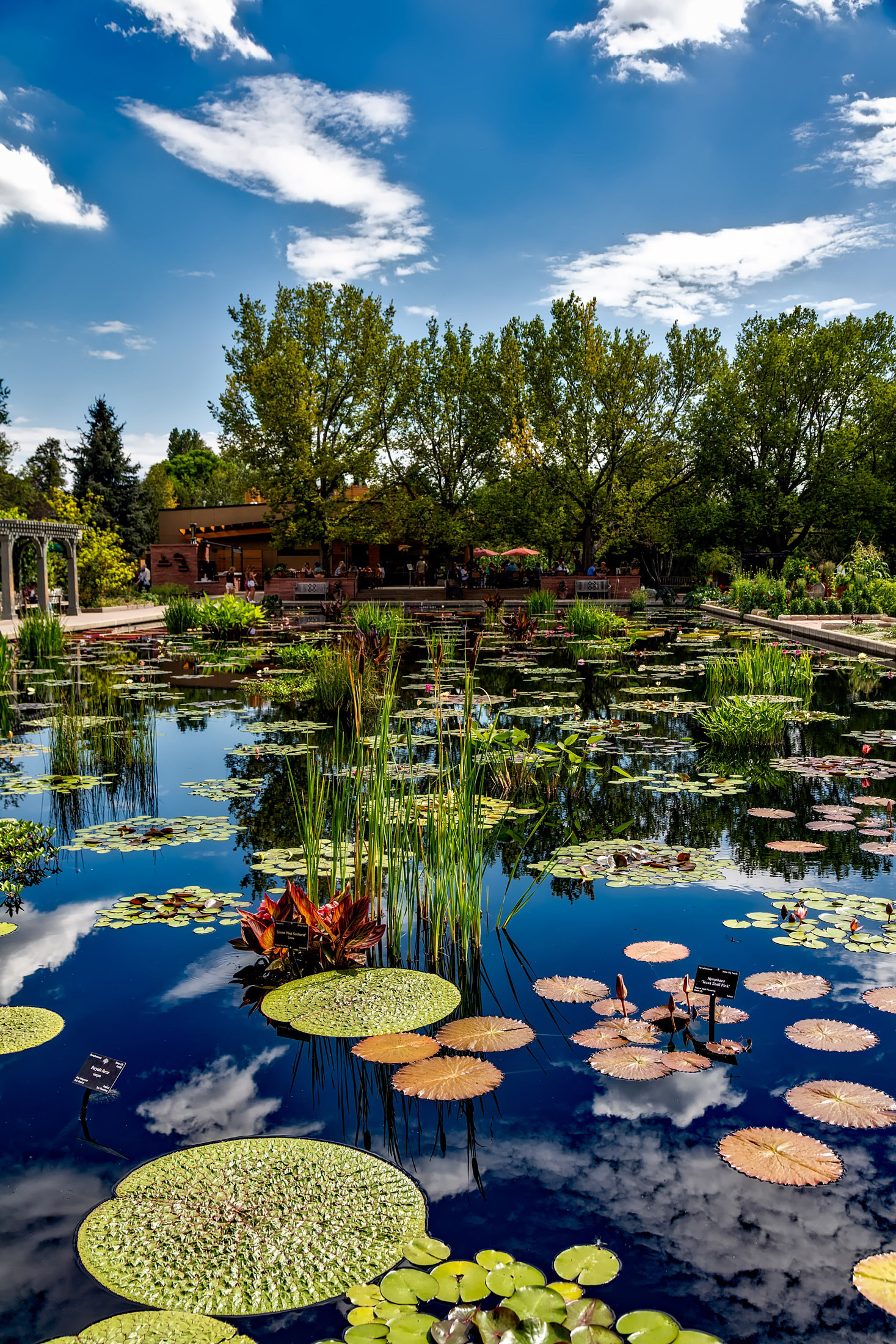 Botanic Gardens In Denver Colorado Image Free Stock Photo