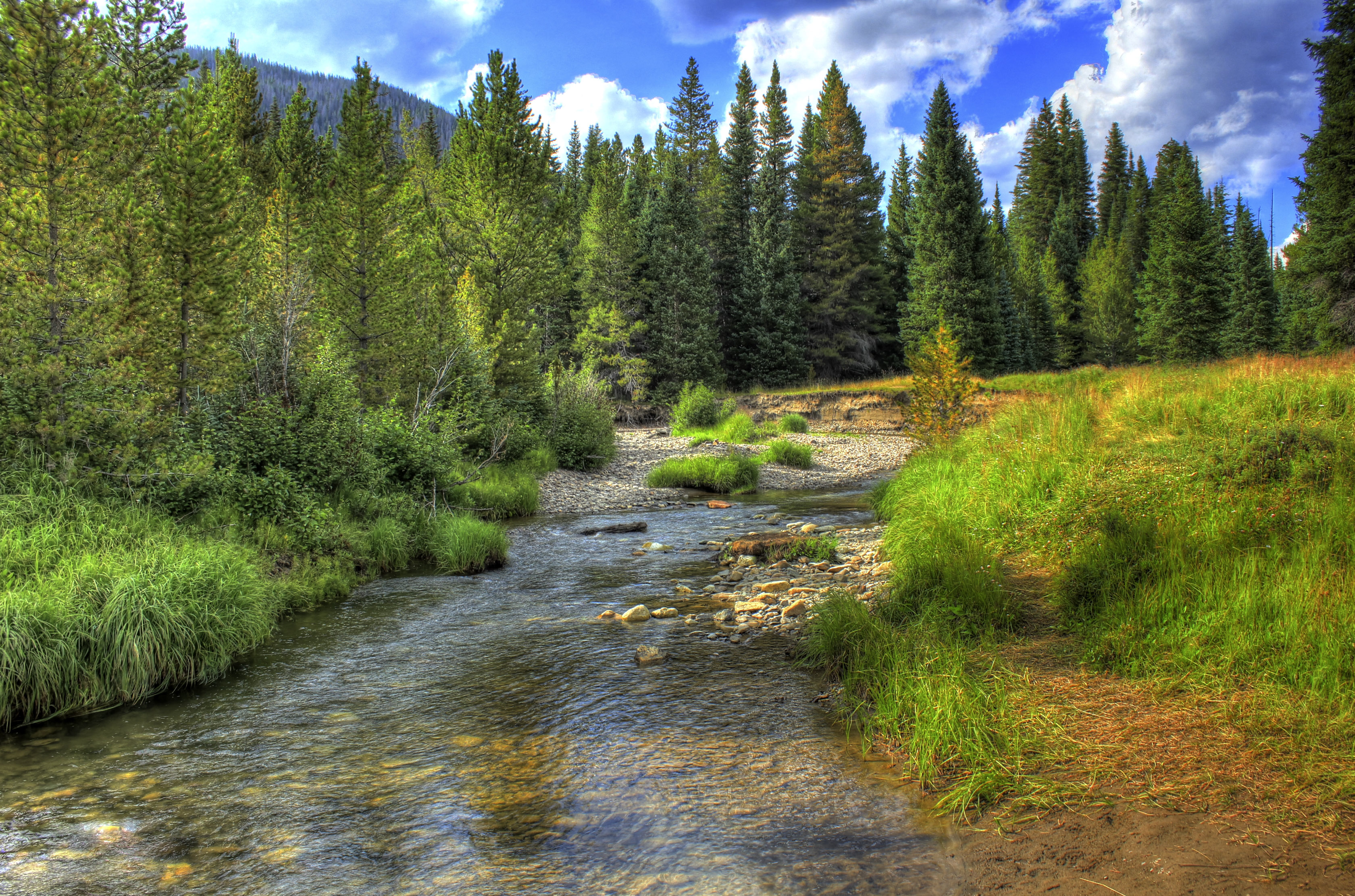 Infant Colorado River