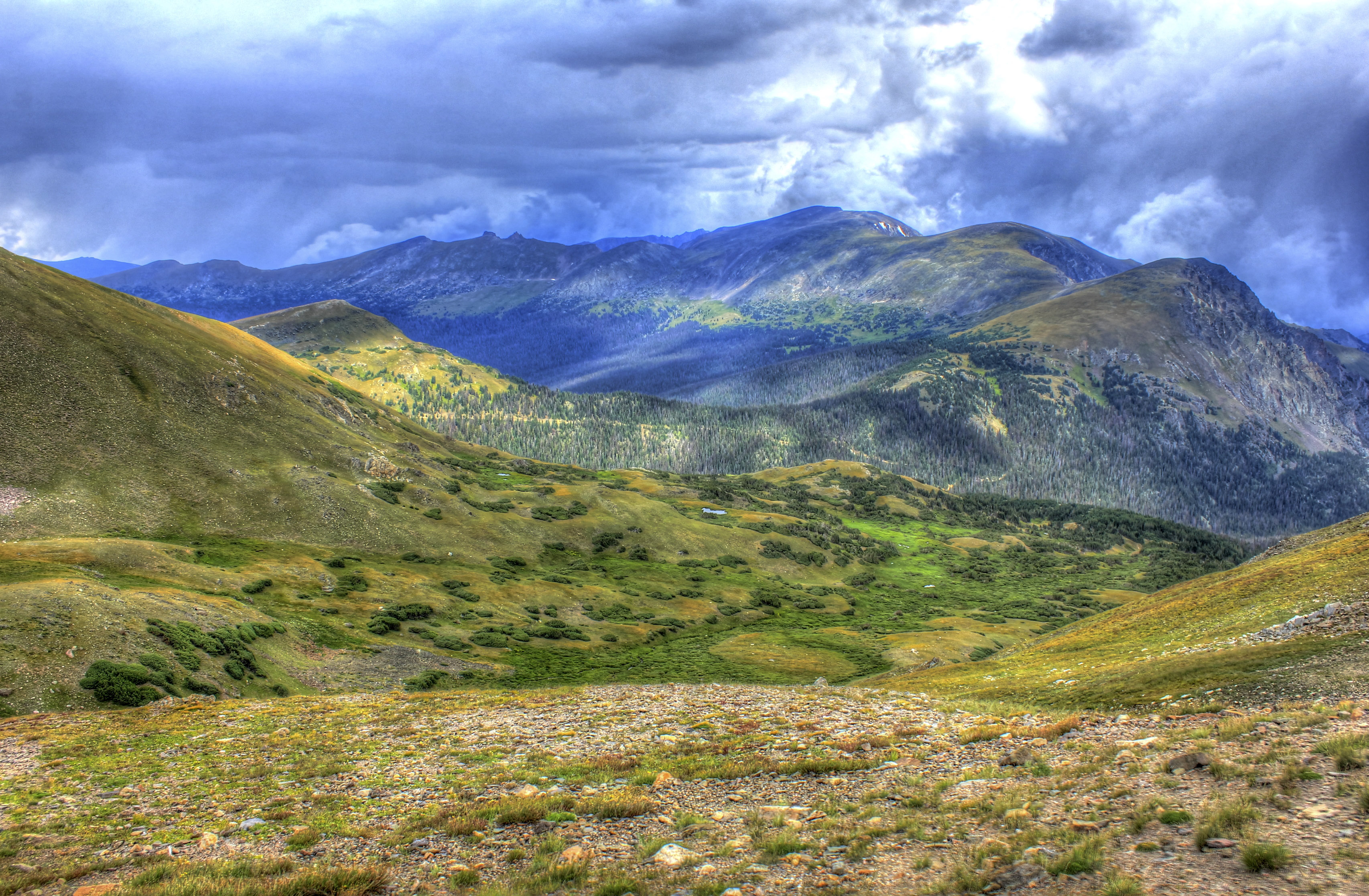 Rocky Mountain Path