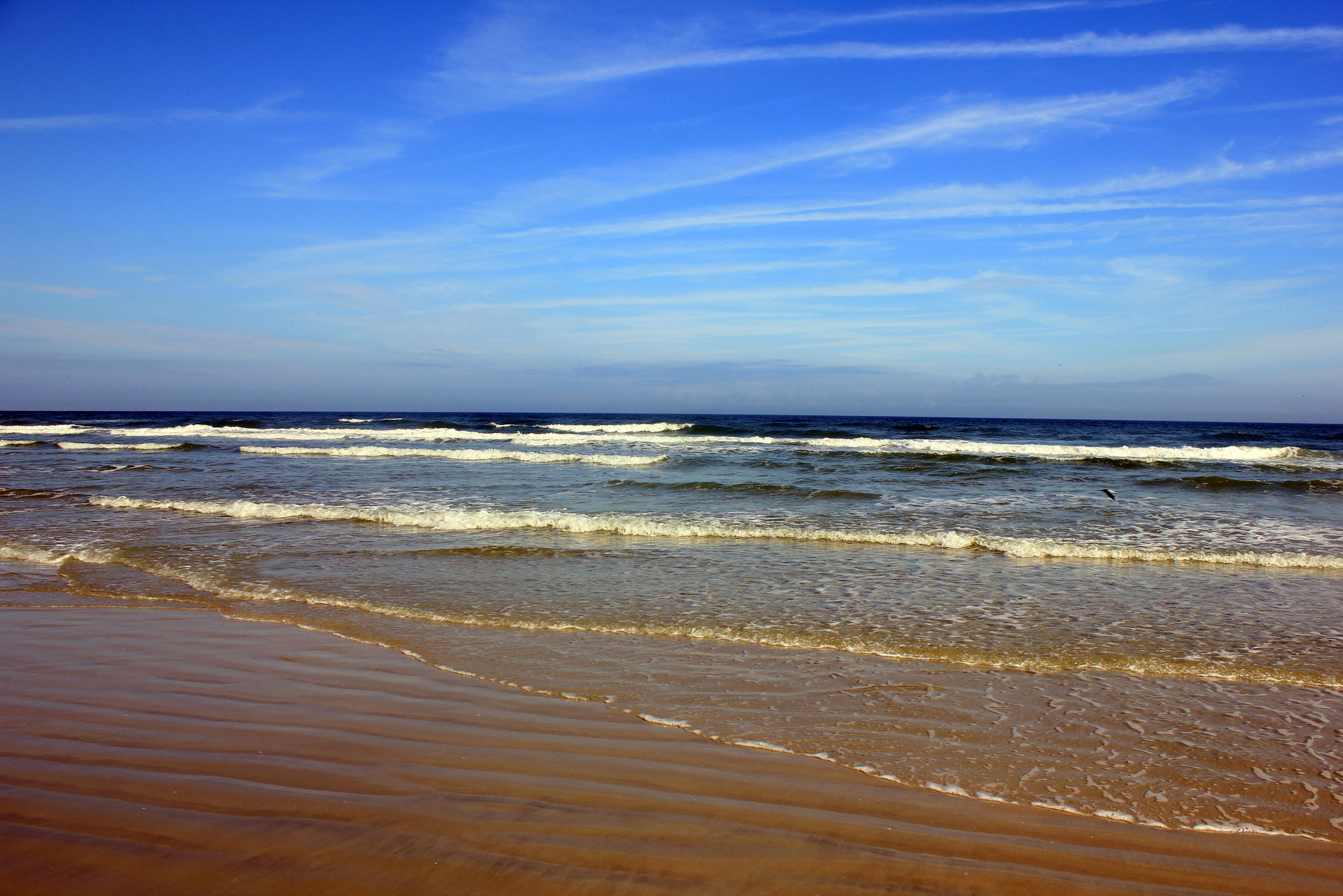 The Atlantic Ocean at Daytona Beach, Florida image Free