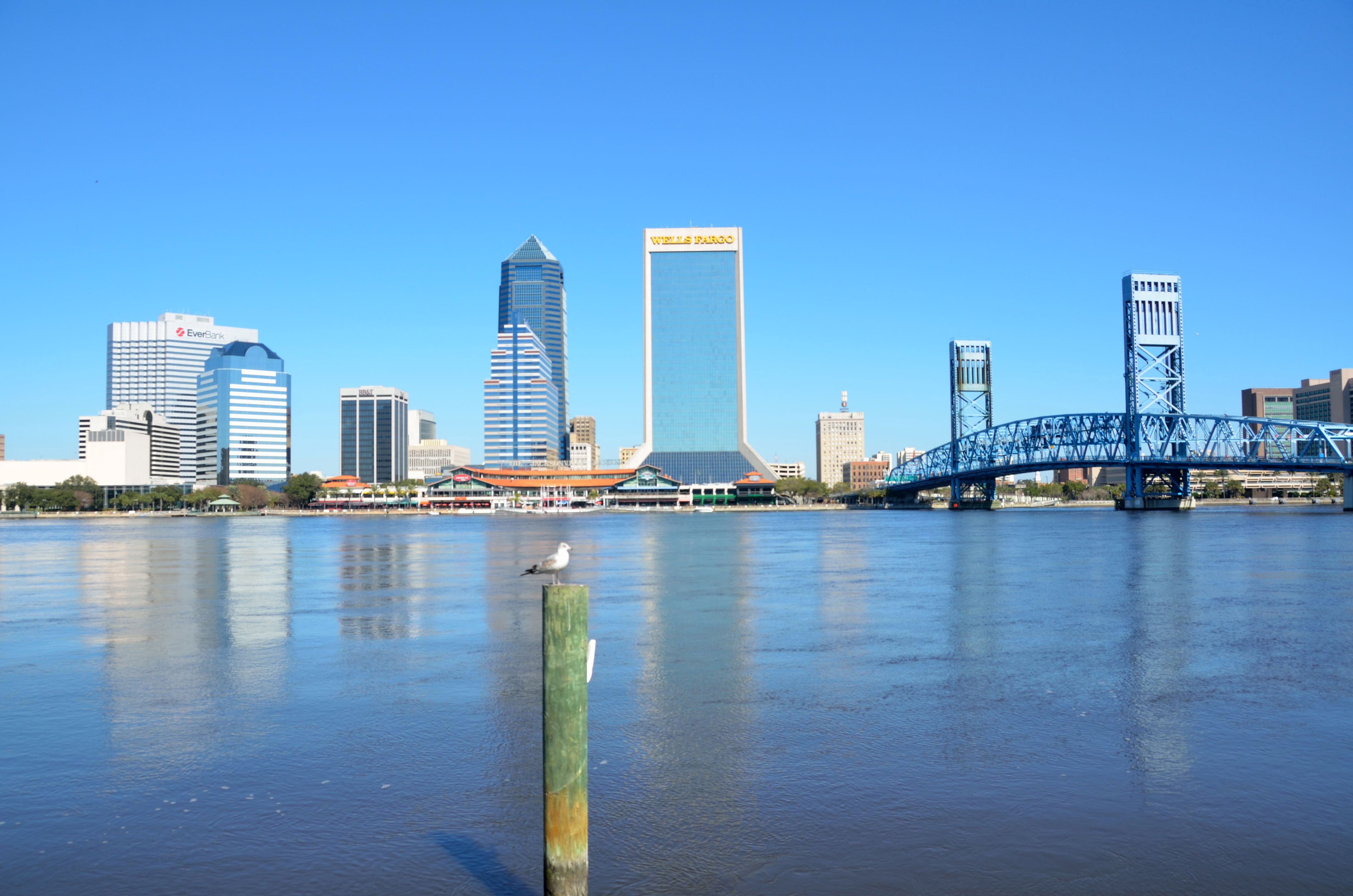 Skyline Of Jacksonville Florida Image Free Stock Photo Public