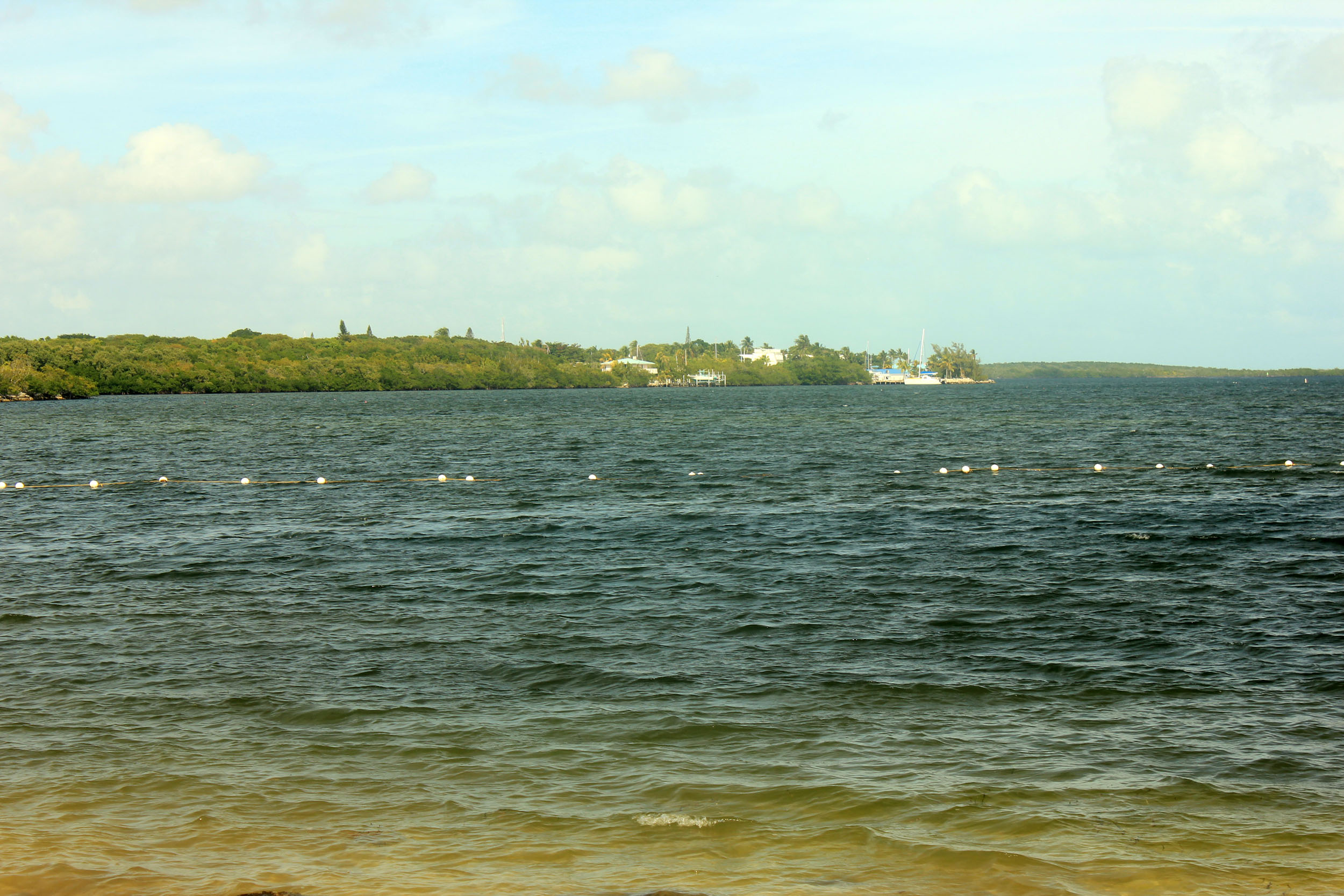 Water, bay, Marina at Key Largo, Florida image Free stock photo