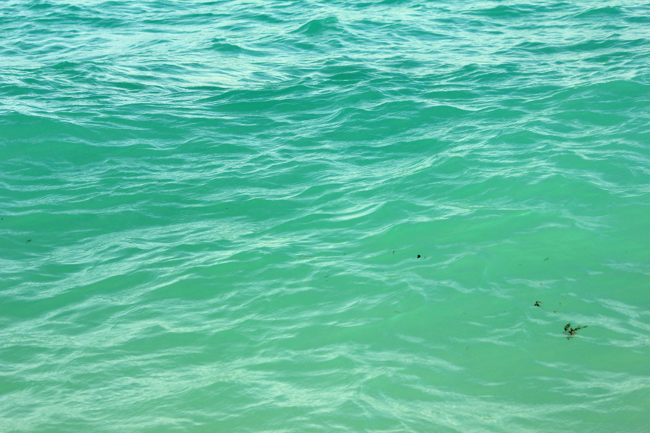 Blue Green Water At Miami Florida Image Free Stock Photo Public