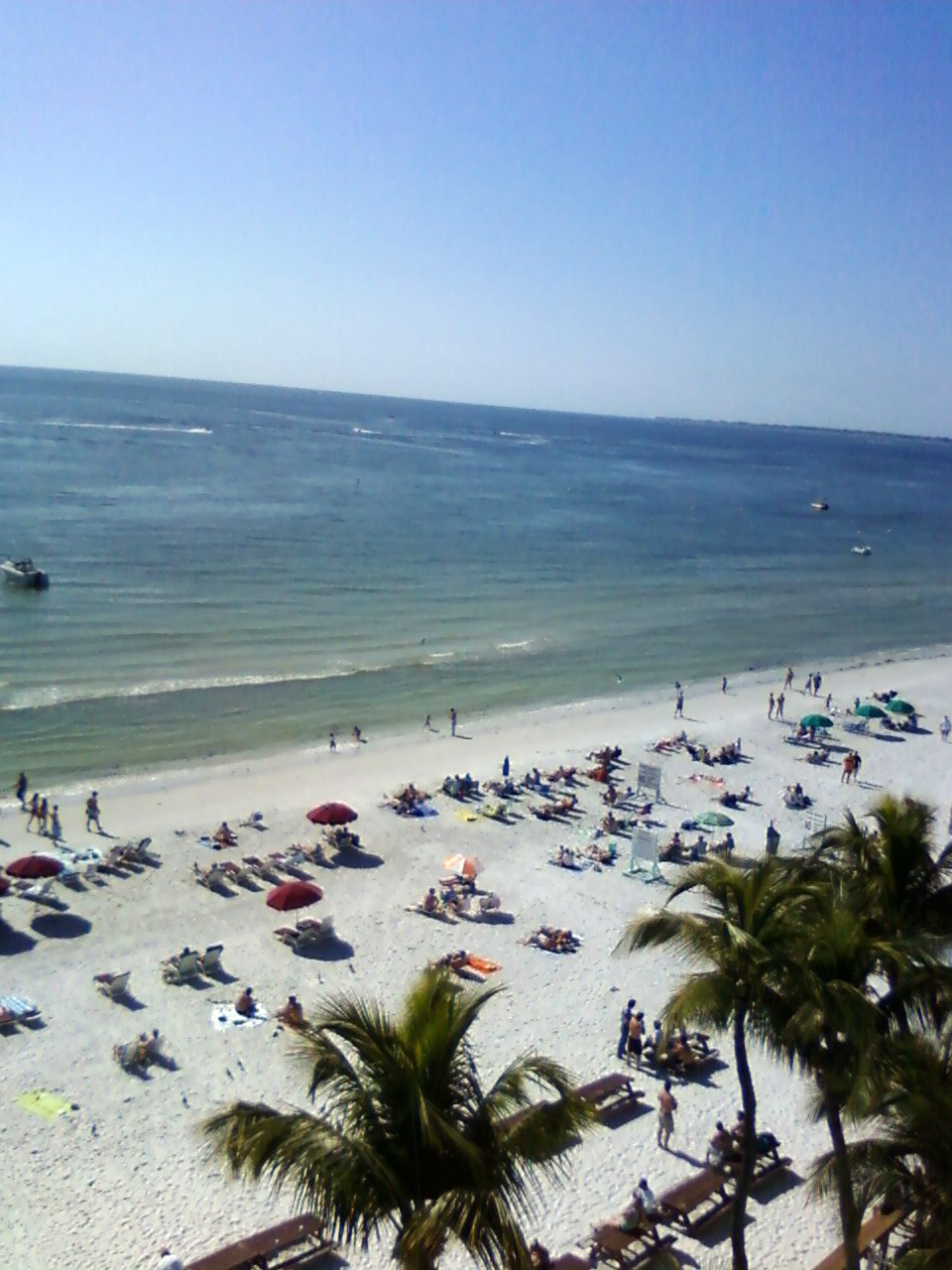  People  and landscape on the coastline in Fort  Myers  Beach  