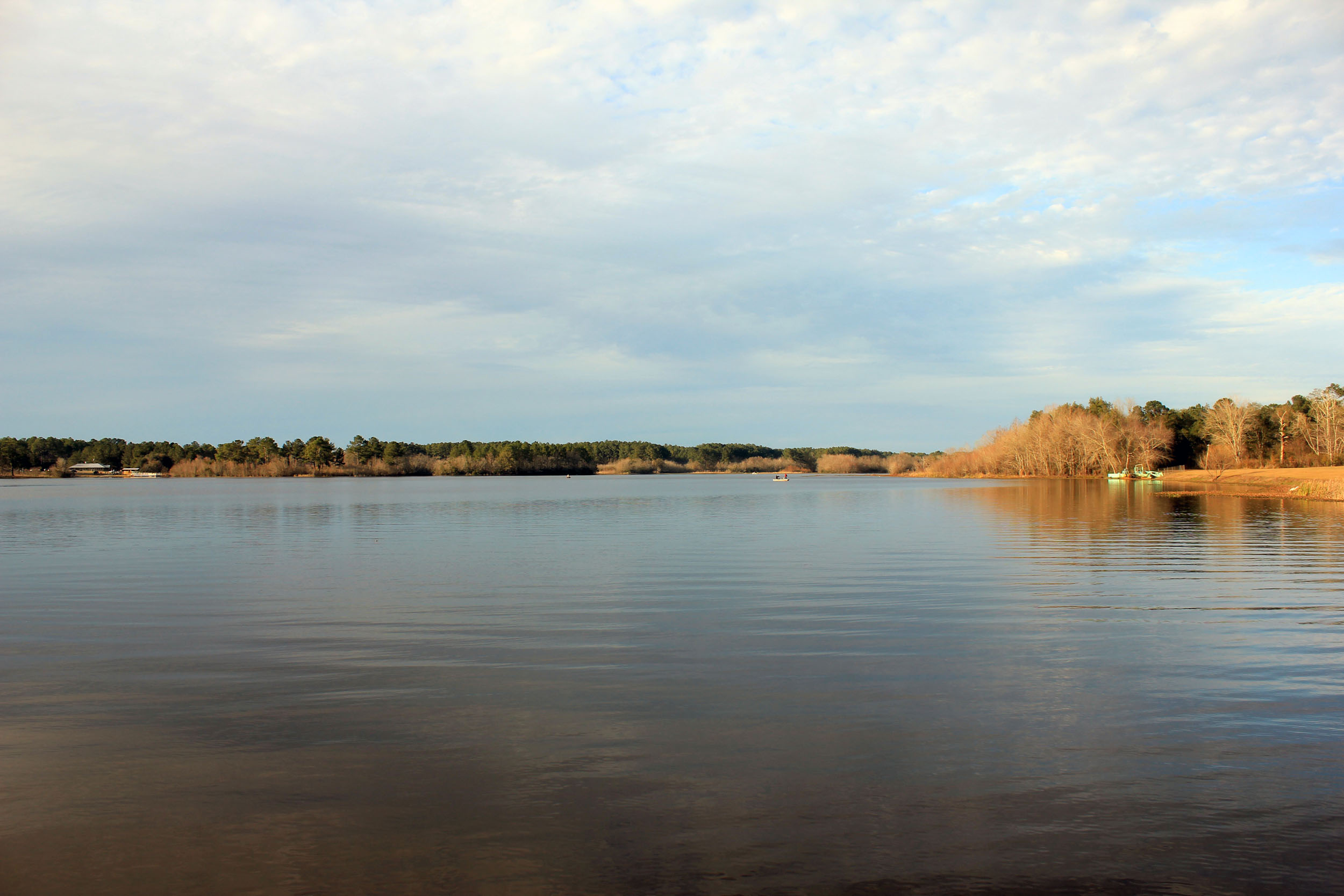 Main lake at Reed-Bingham