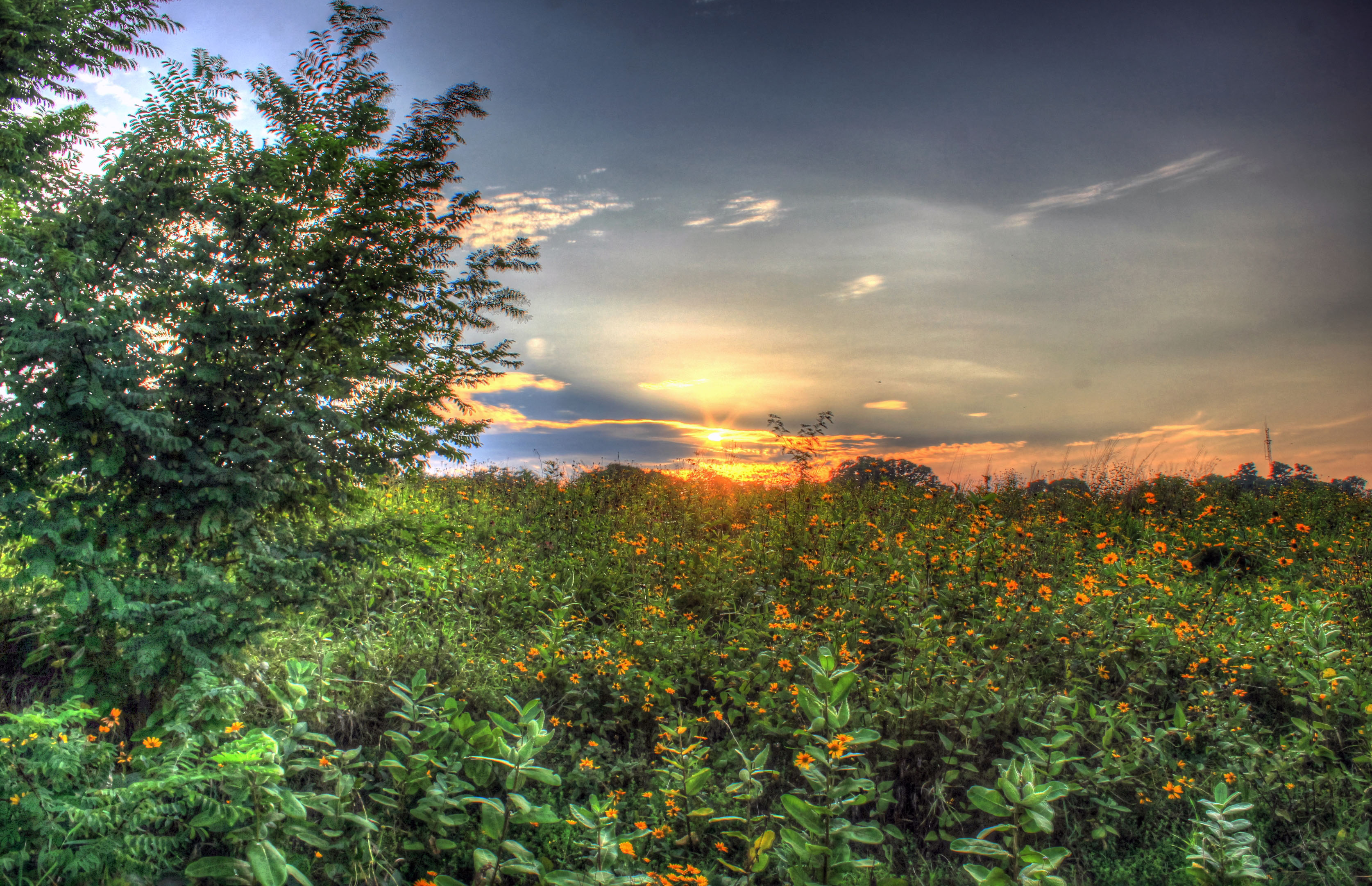 Beautiful Sunset at Chain O Lakes State Park, Illinois ...