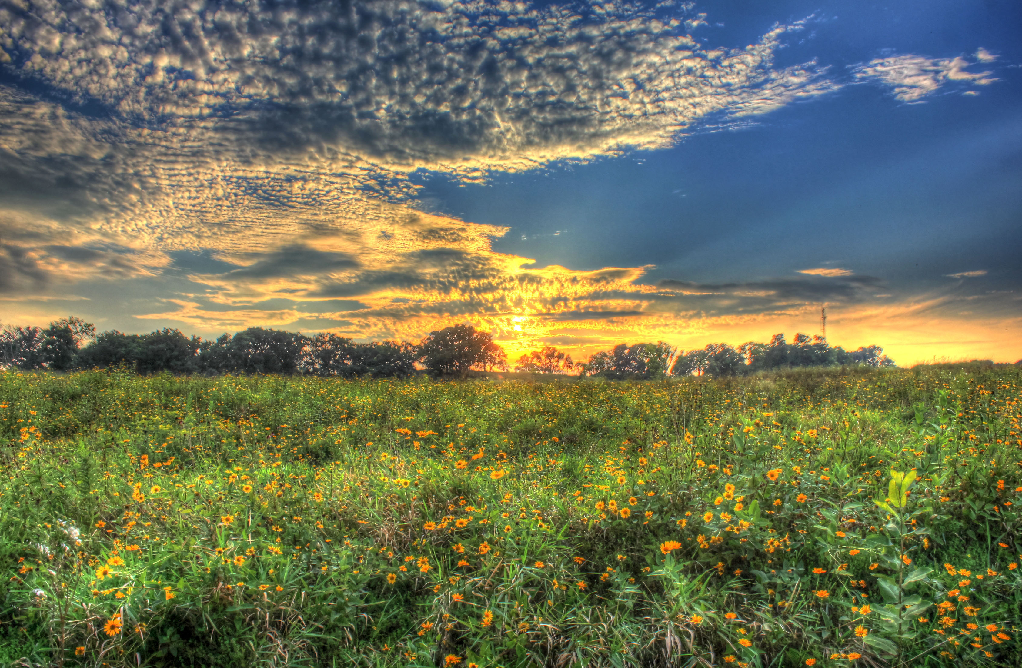 Sunset over the Prairie