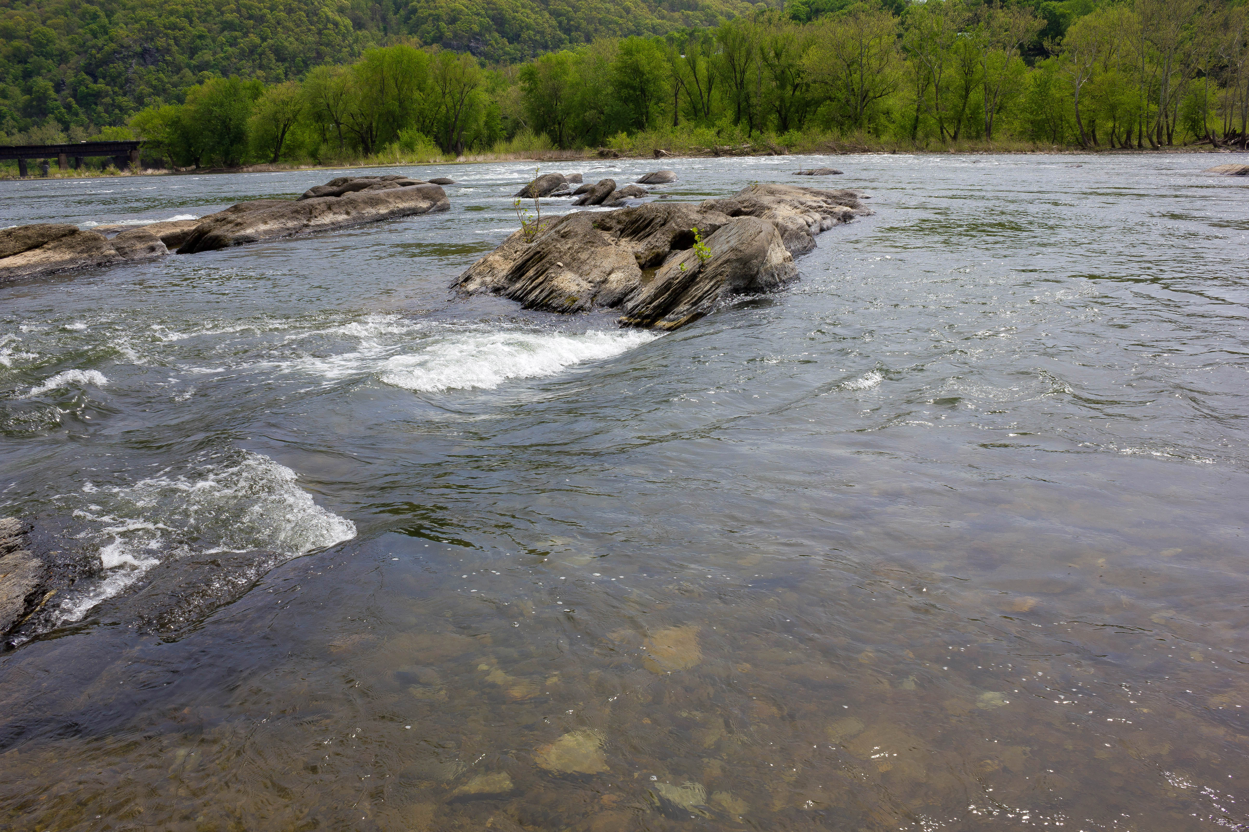 potomac river