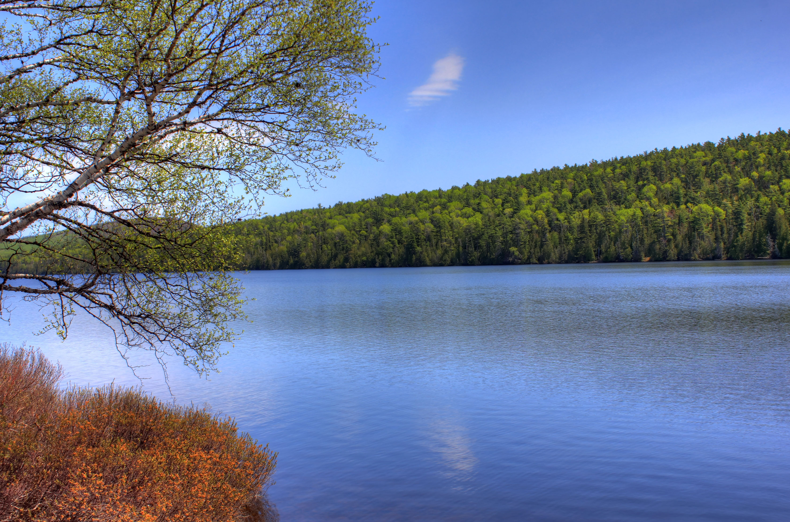 Lake Landscape at Fort Wilkens