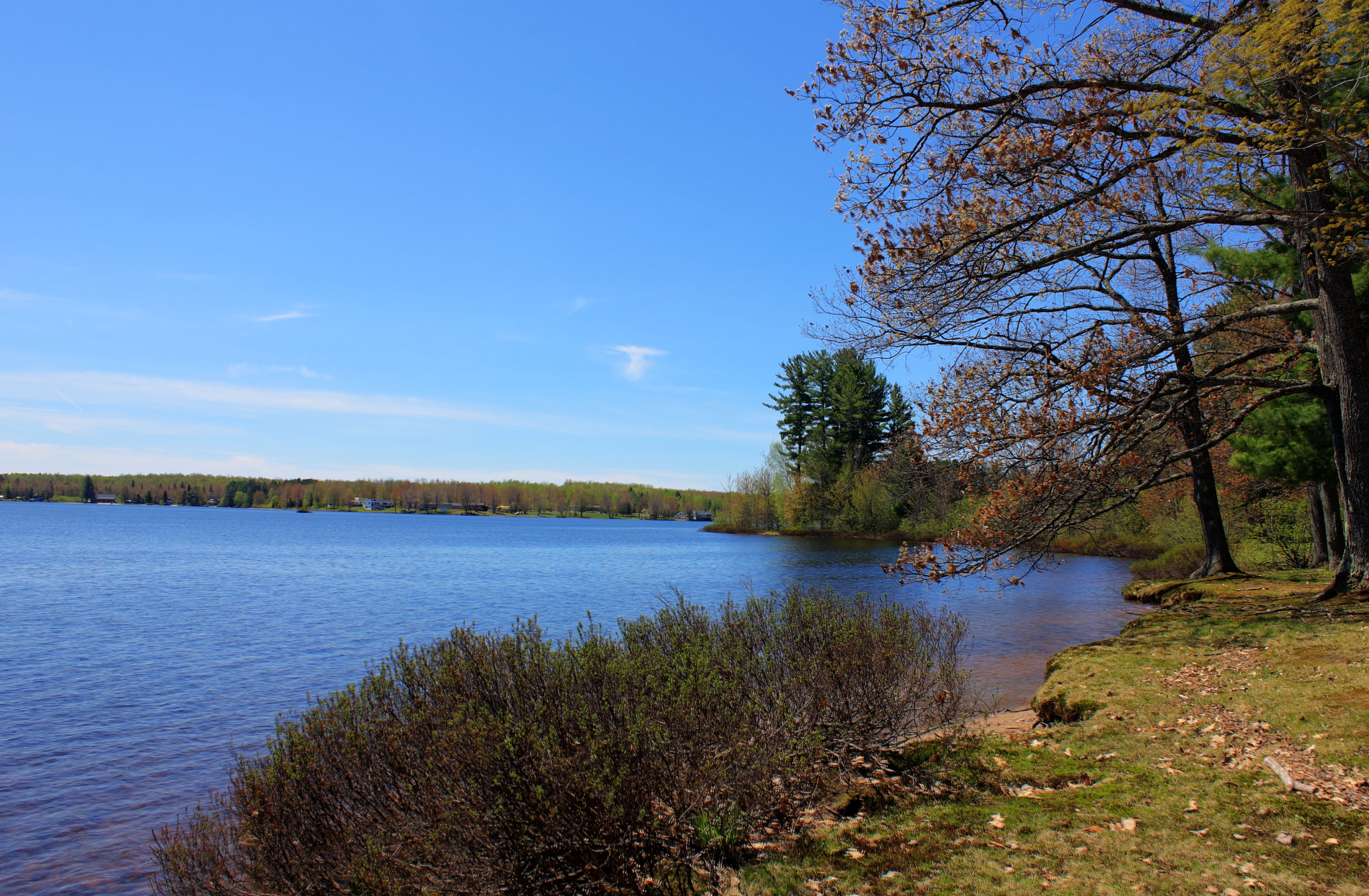 Shoreline of the Lake at Twin Lakes State Park, Michigan image Free