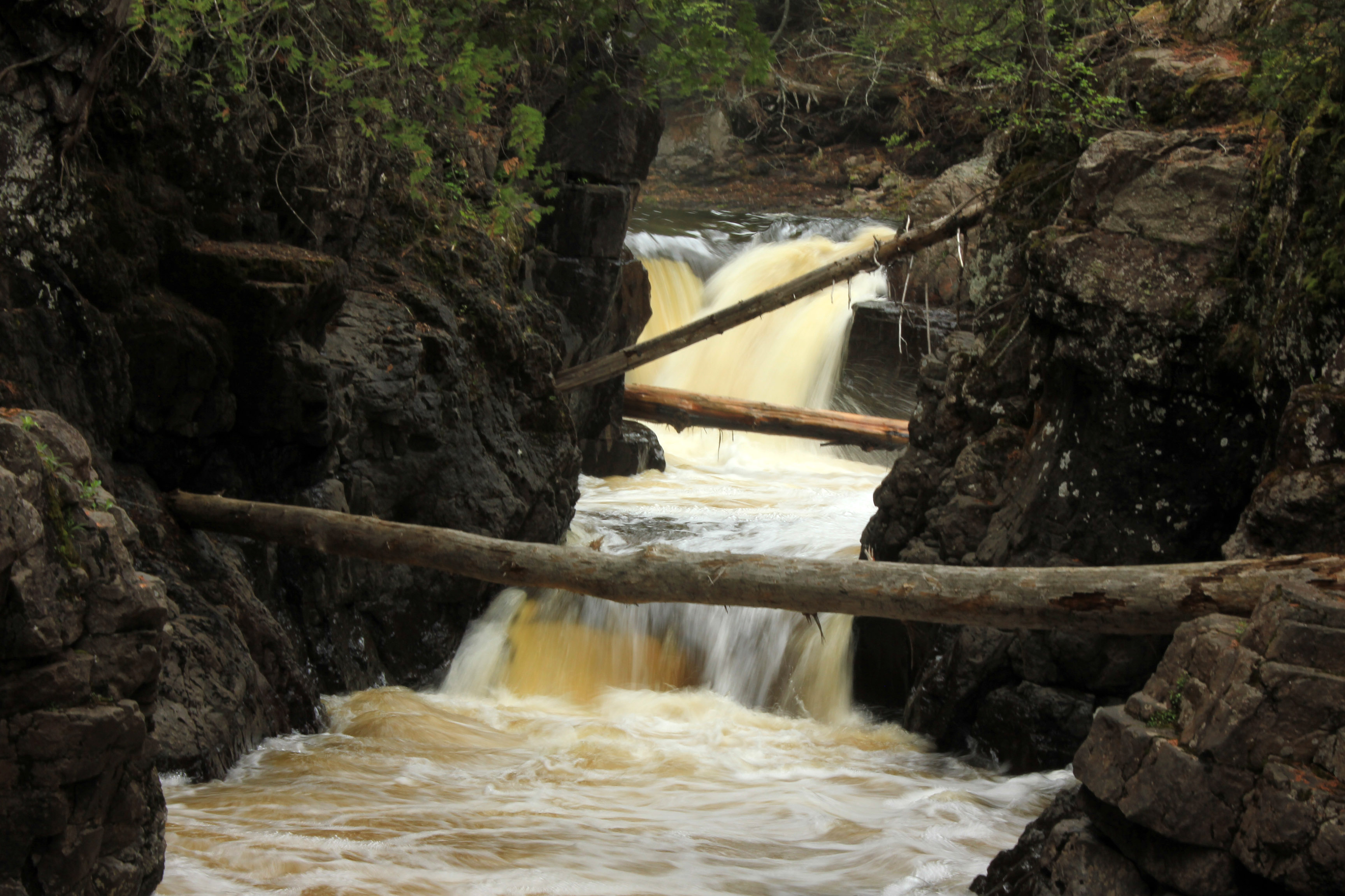 Logs Across The River At Cascade River State Park Minnesota Image
