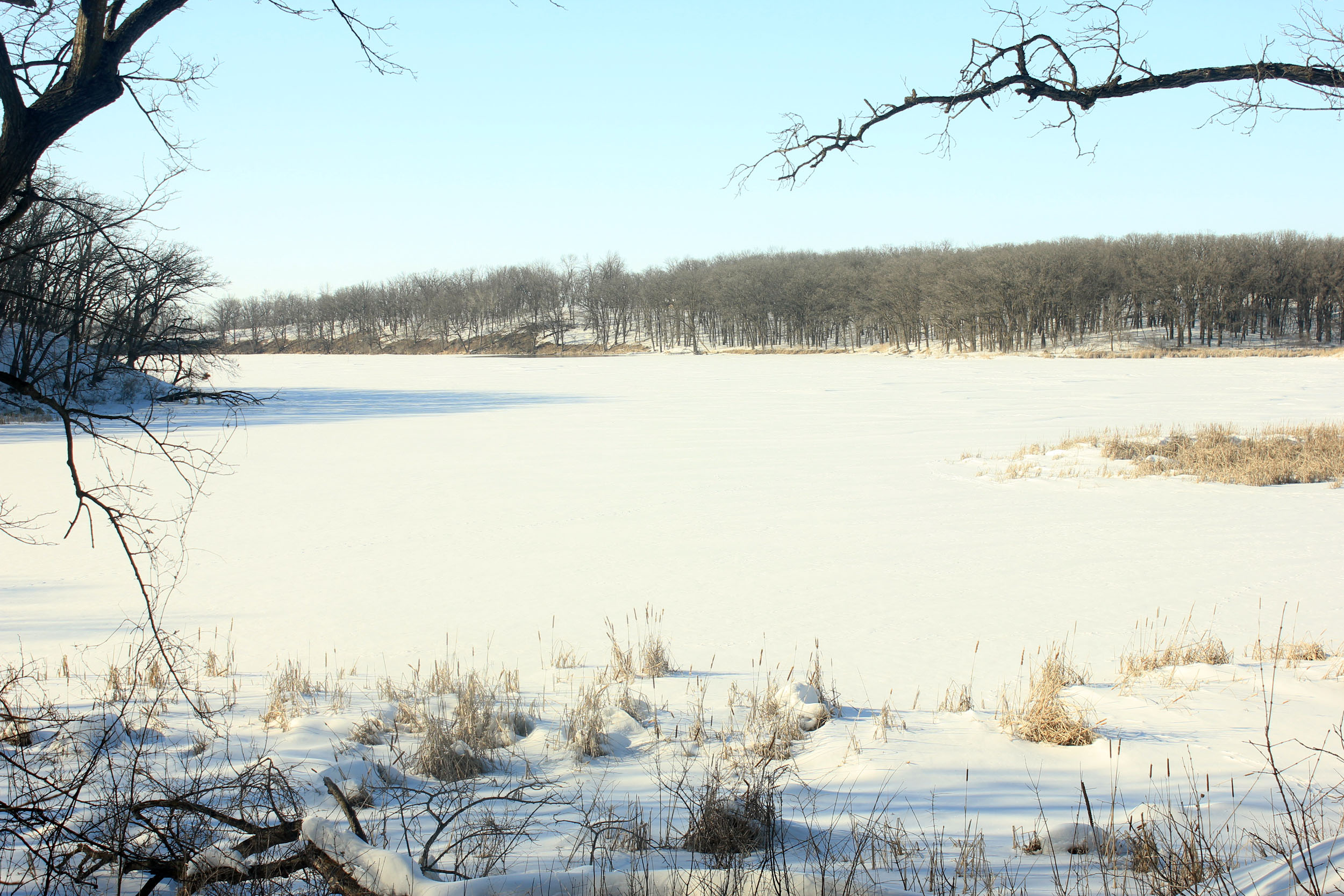 Frozen Lake