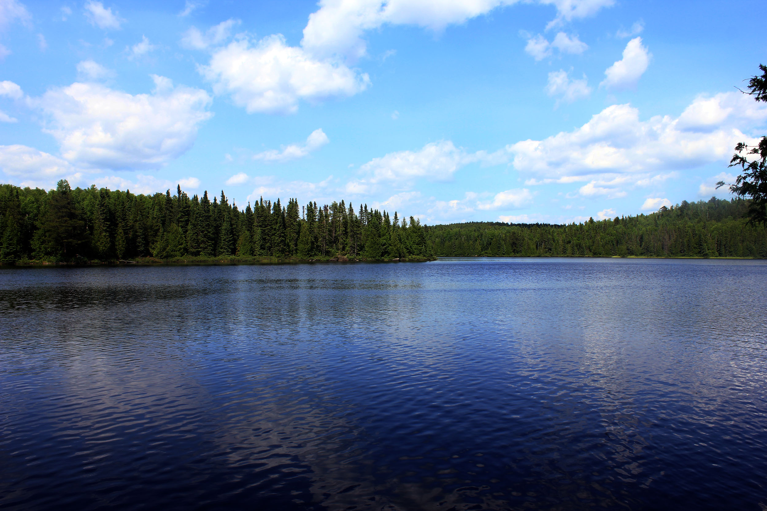 Whale Lake