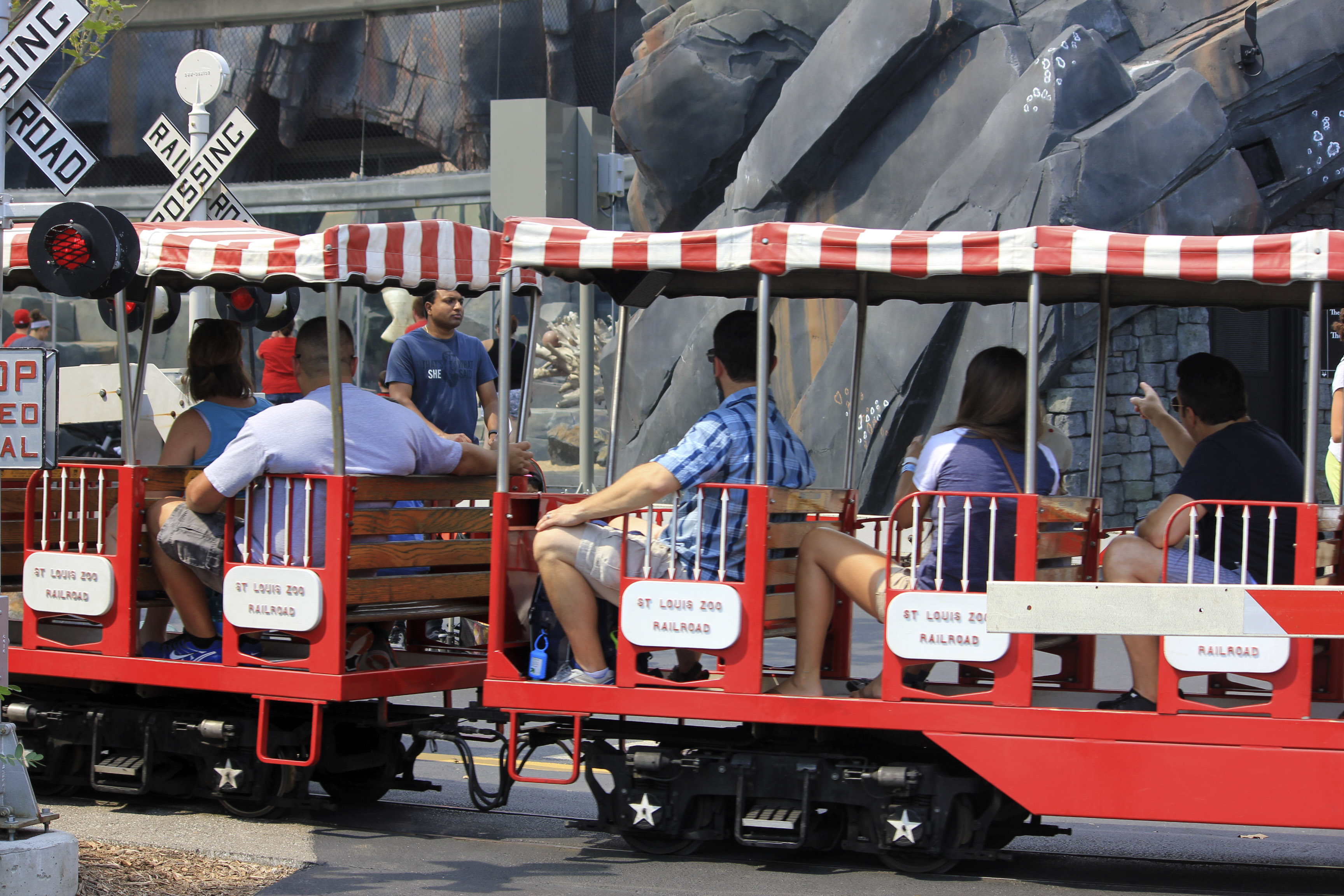 Zoo Train in St. Louis Missouri image - Free stock photo - Public Domain photo - CC0 Images