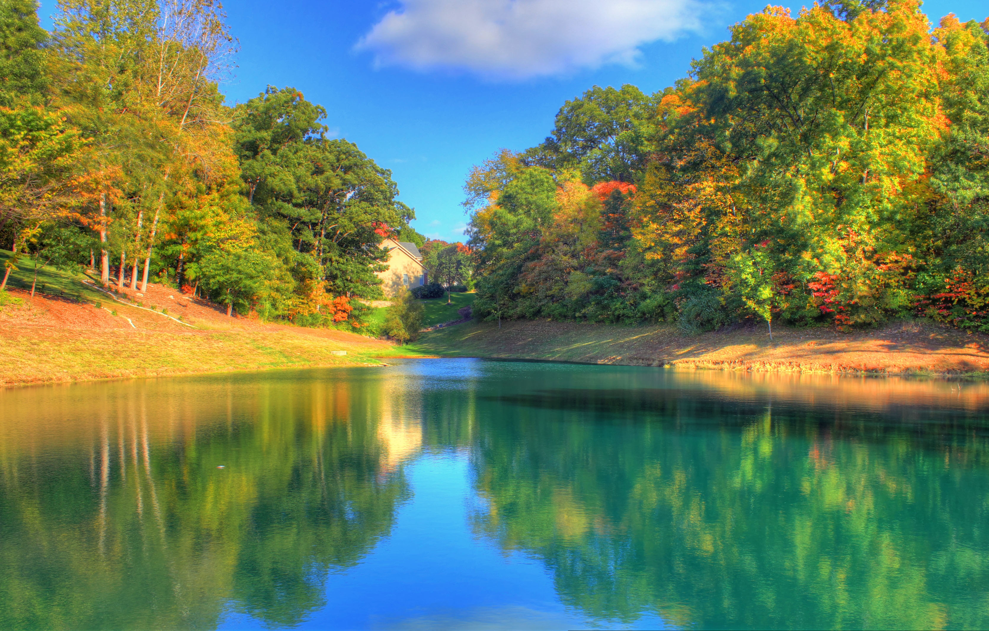 Pond and trees in St. Louis, Missouri image - Free stock photo - Public Domain photo - CC0 Images