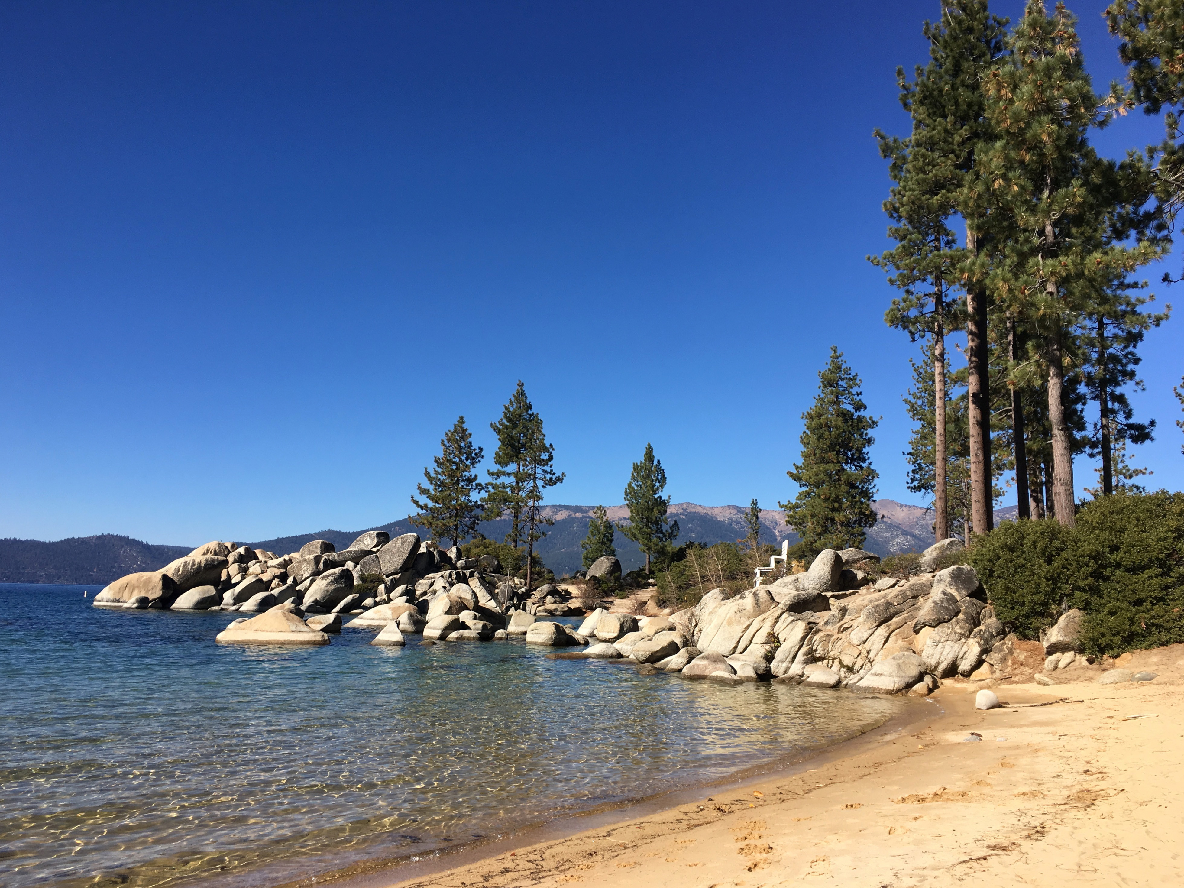 Forest on a Beach landscape in Lake Tahoe, Nevada (1620/19035). 