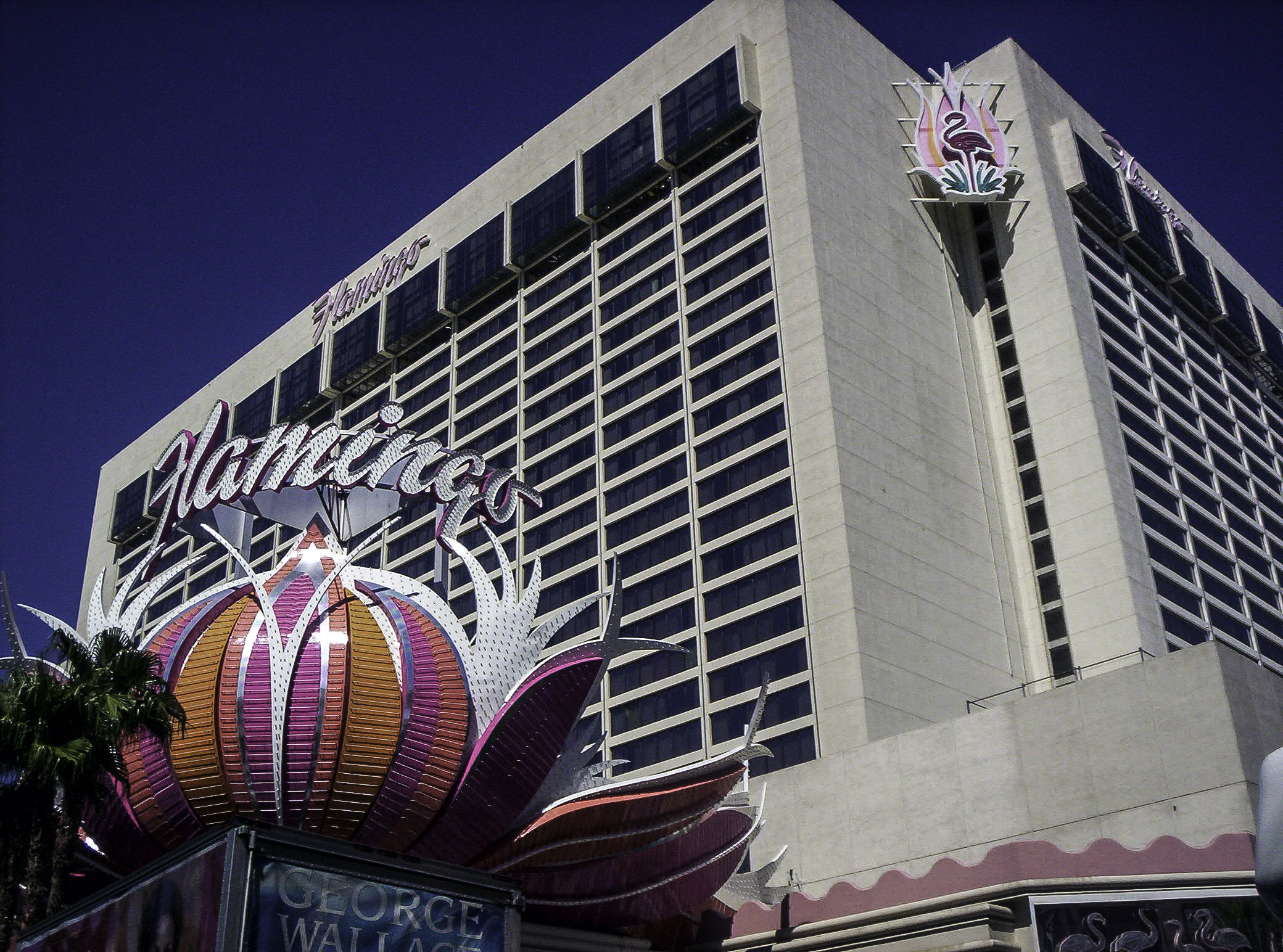 Vegas Flamingo