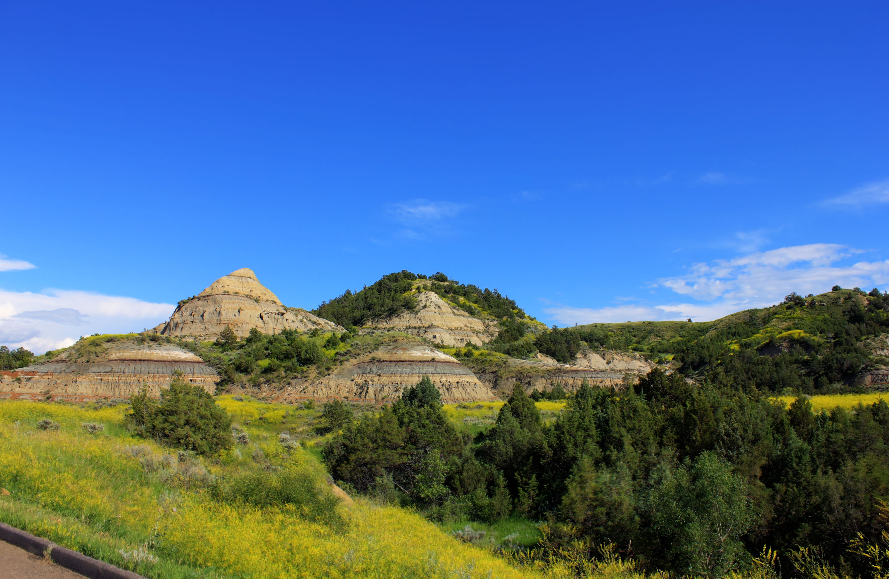 Landscape on a good day