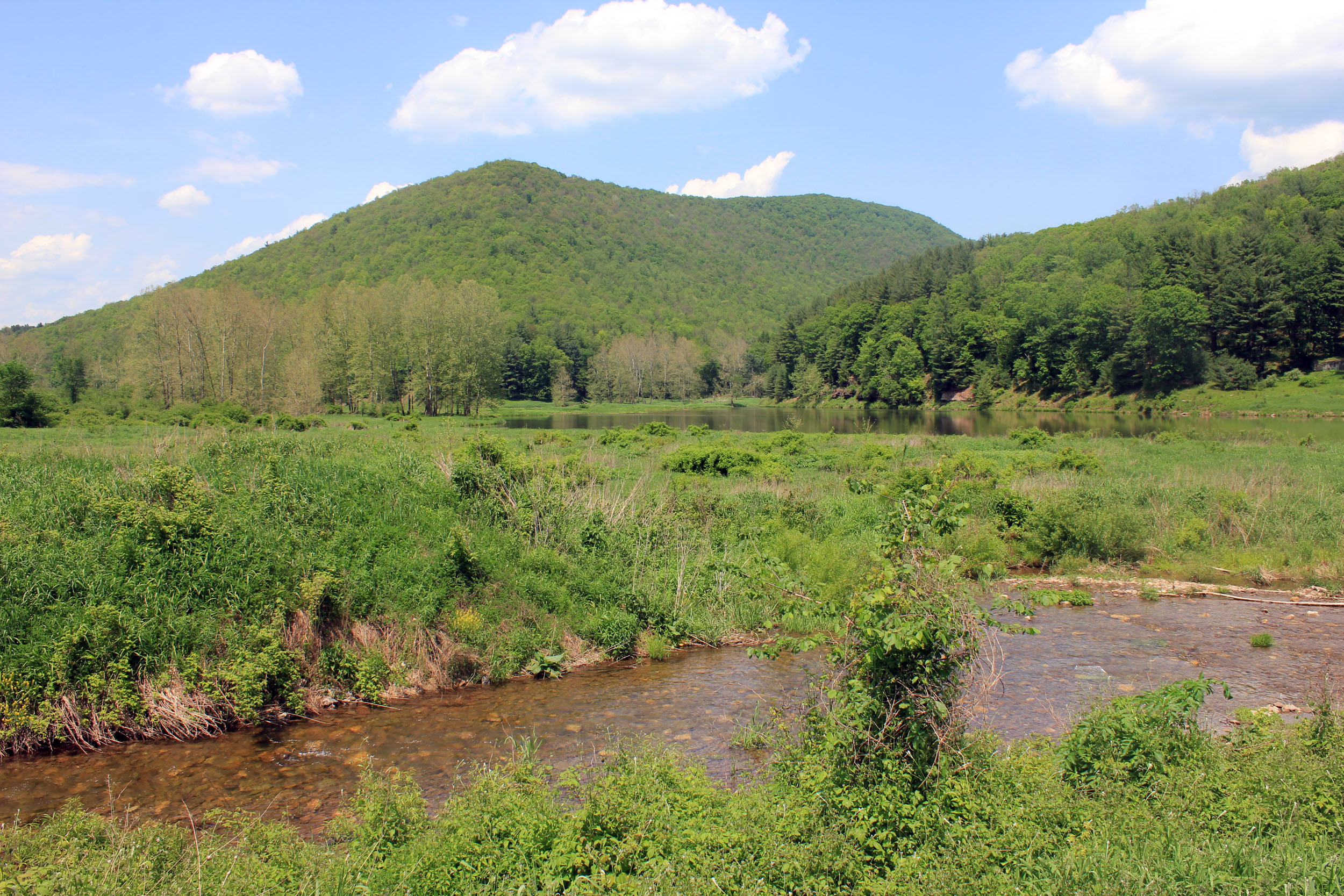 Landscape Hills And Stream At Sinnemahoning State Park Pennsylvania