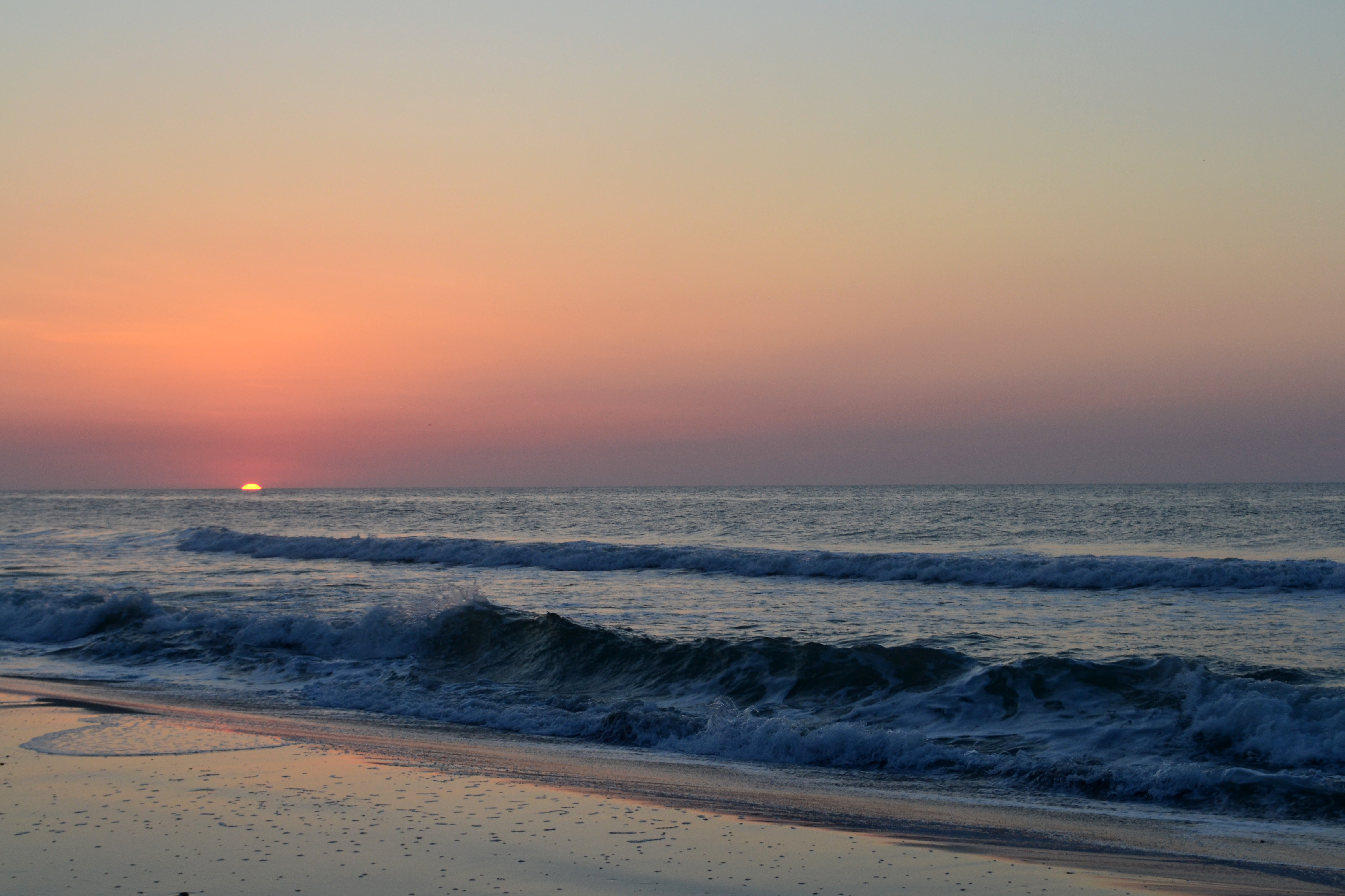 Sunset by the ocean and shoreline image - Free stock photo - Public Domain photo - CC0 Images