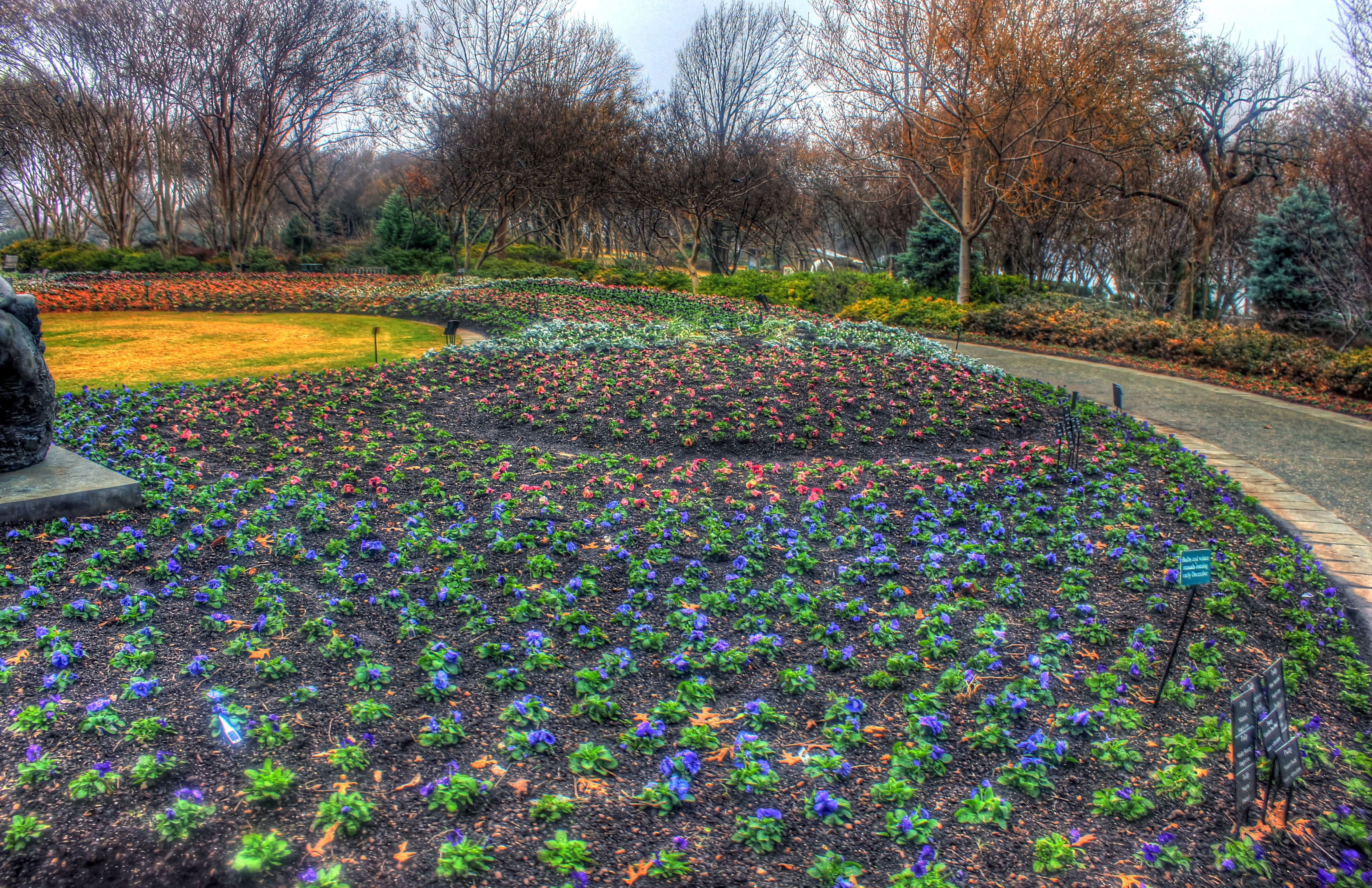 flower bed in dallas, texas image - free stock photo - public domain