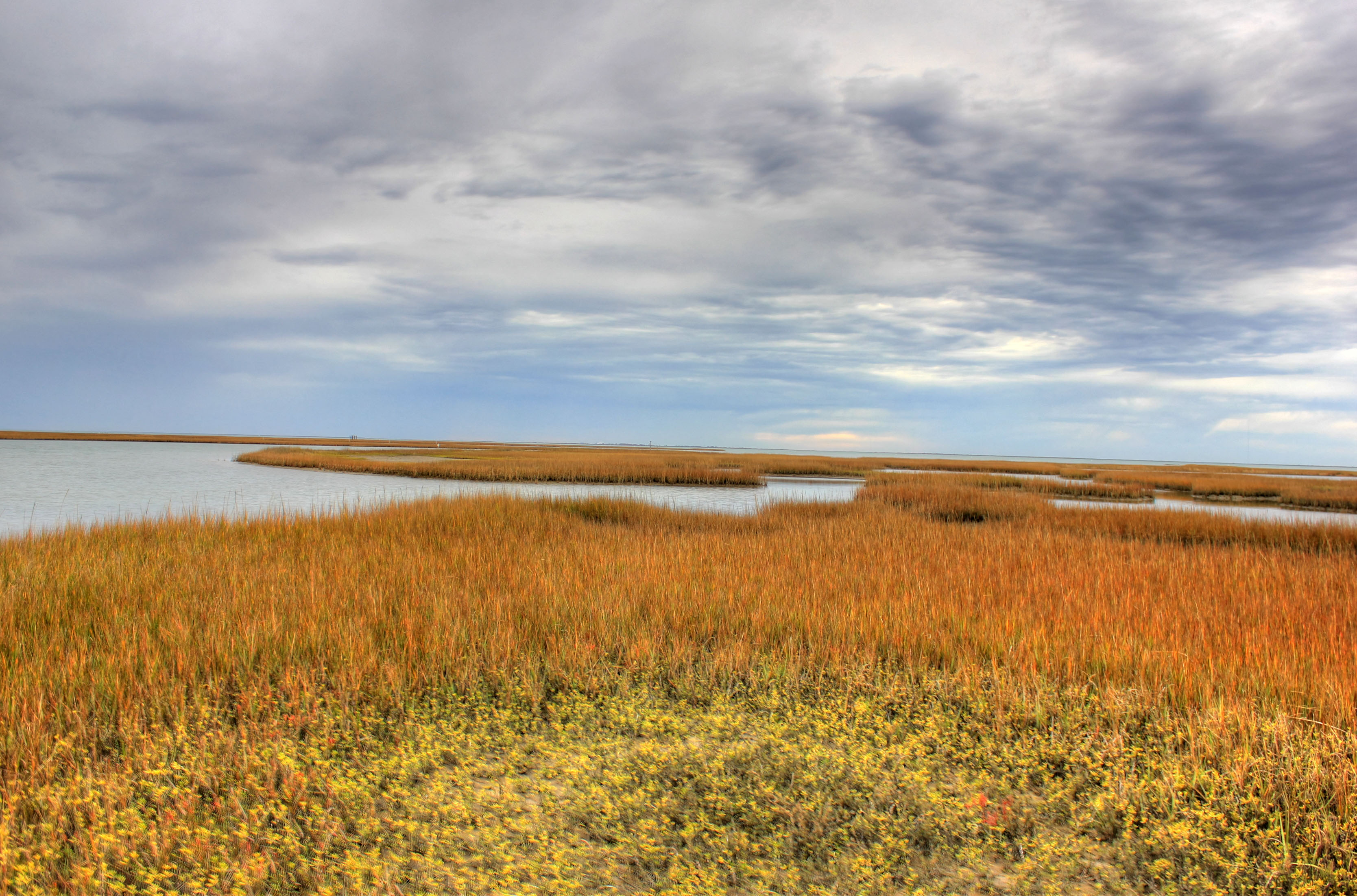 Winding Bay