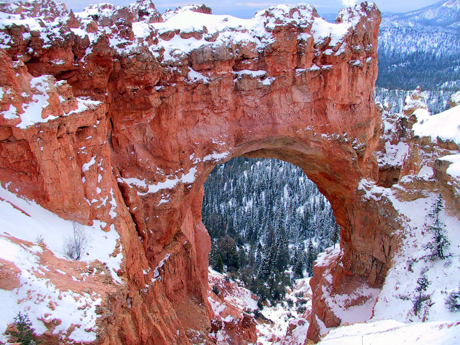 Arch Formed By Erosion In Bryce Canyon National Park Utah Image Free