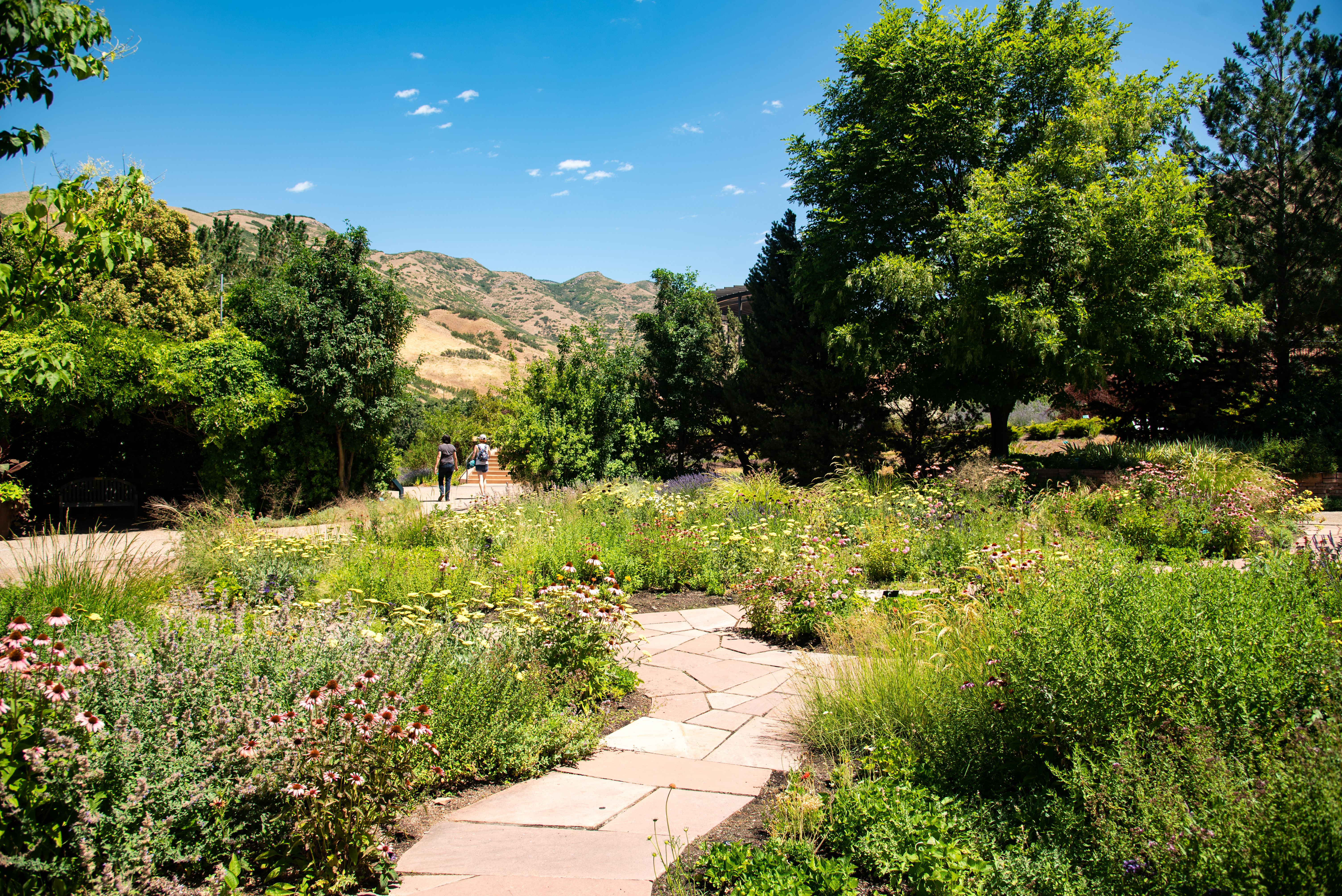 Fragrance Garden In Botanical Gardens Image Free Stock Photo