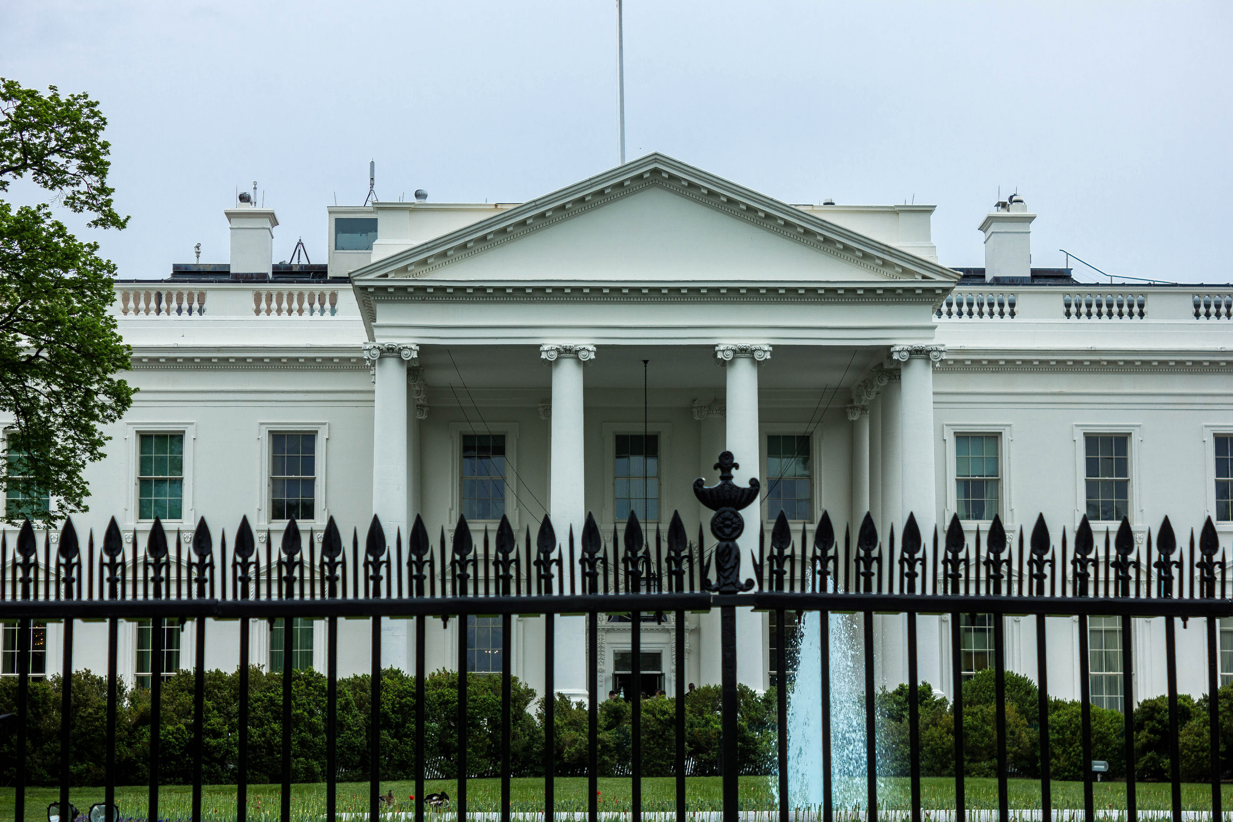 Gated White House in Washington DC image - Free stock photo - Public ...