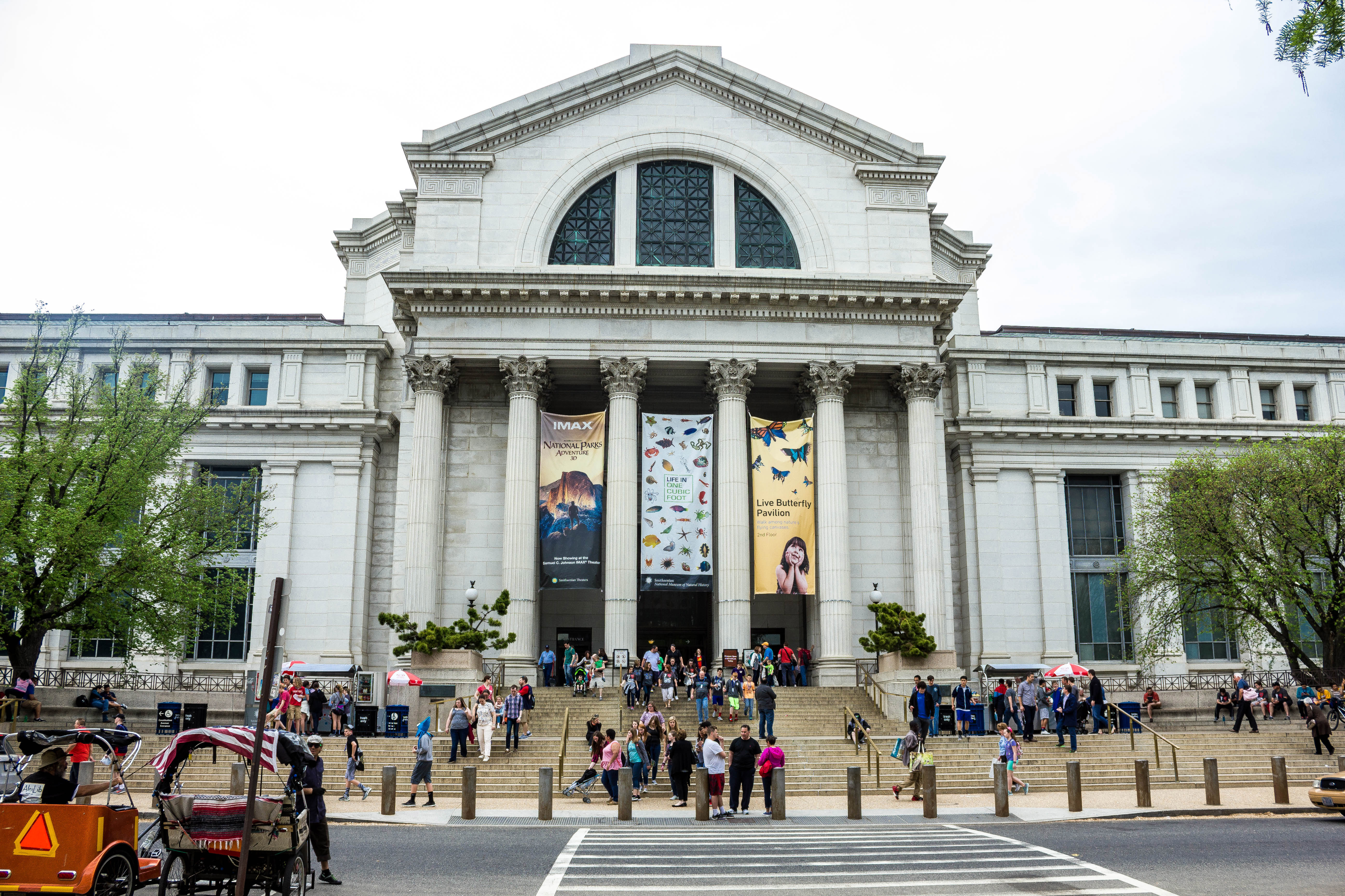 Smithsonian Natural History Museum image  Free stock photo  Public Domain photo  CC0 Images