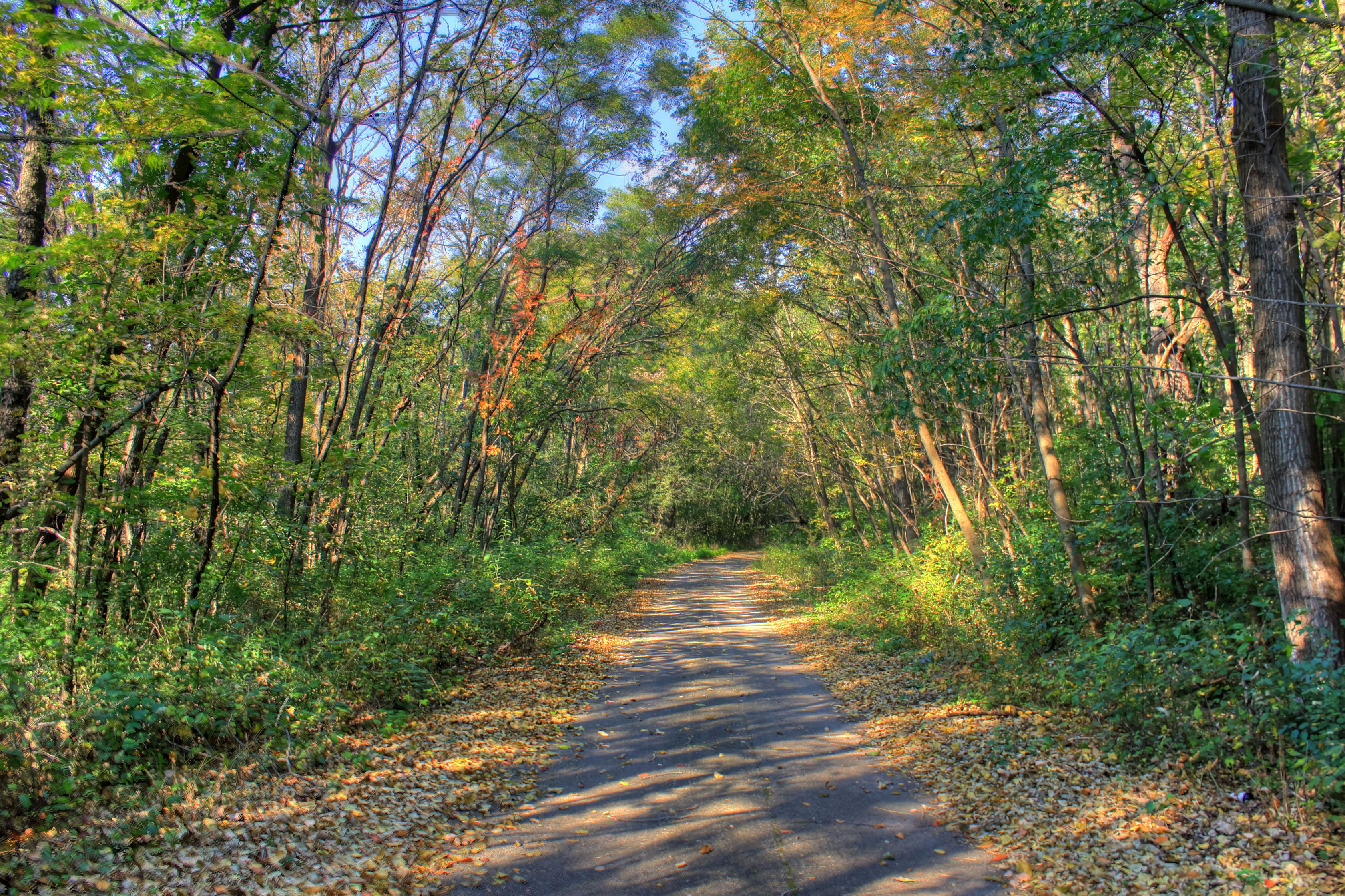 Paved Hiking Trail at Belmont Mounds State Park, Wisconsin image - Free stock photo - Public ...
