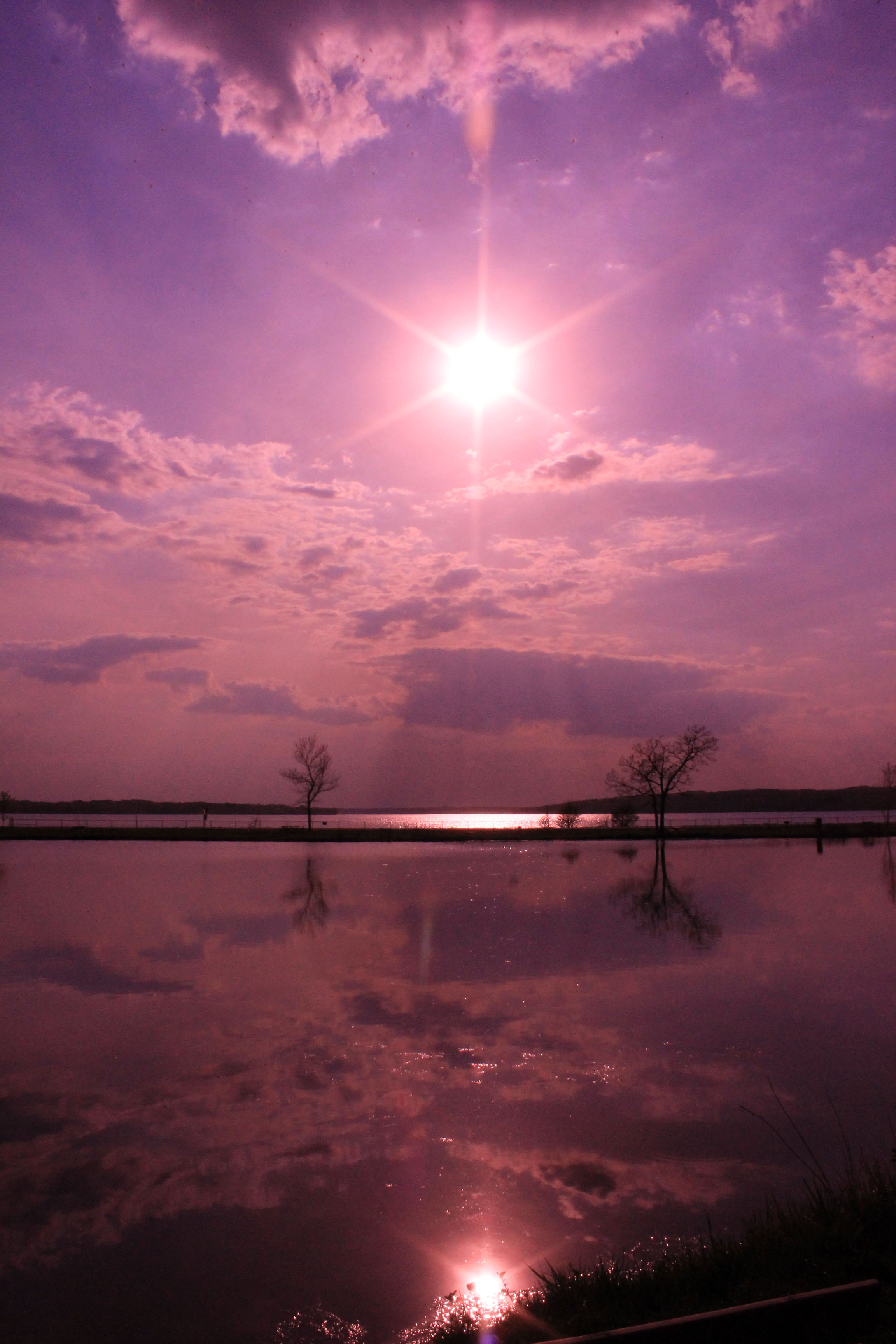 Purple Lake Geneva