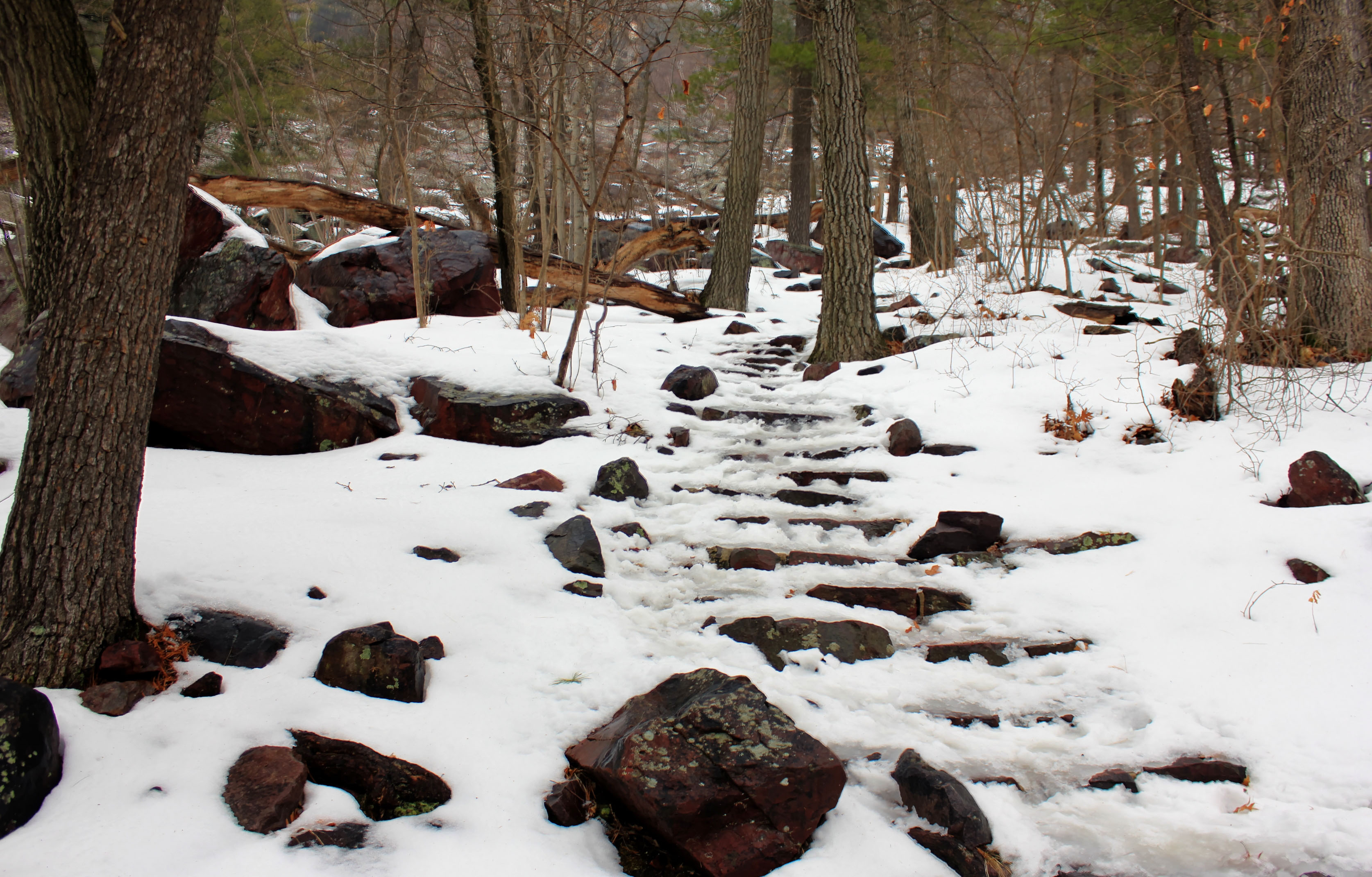 Snowy Steps