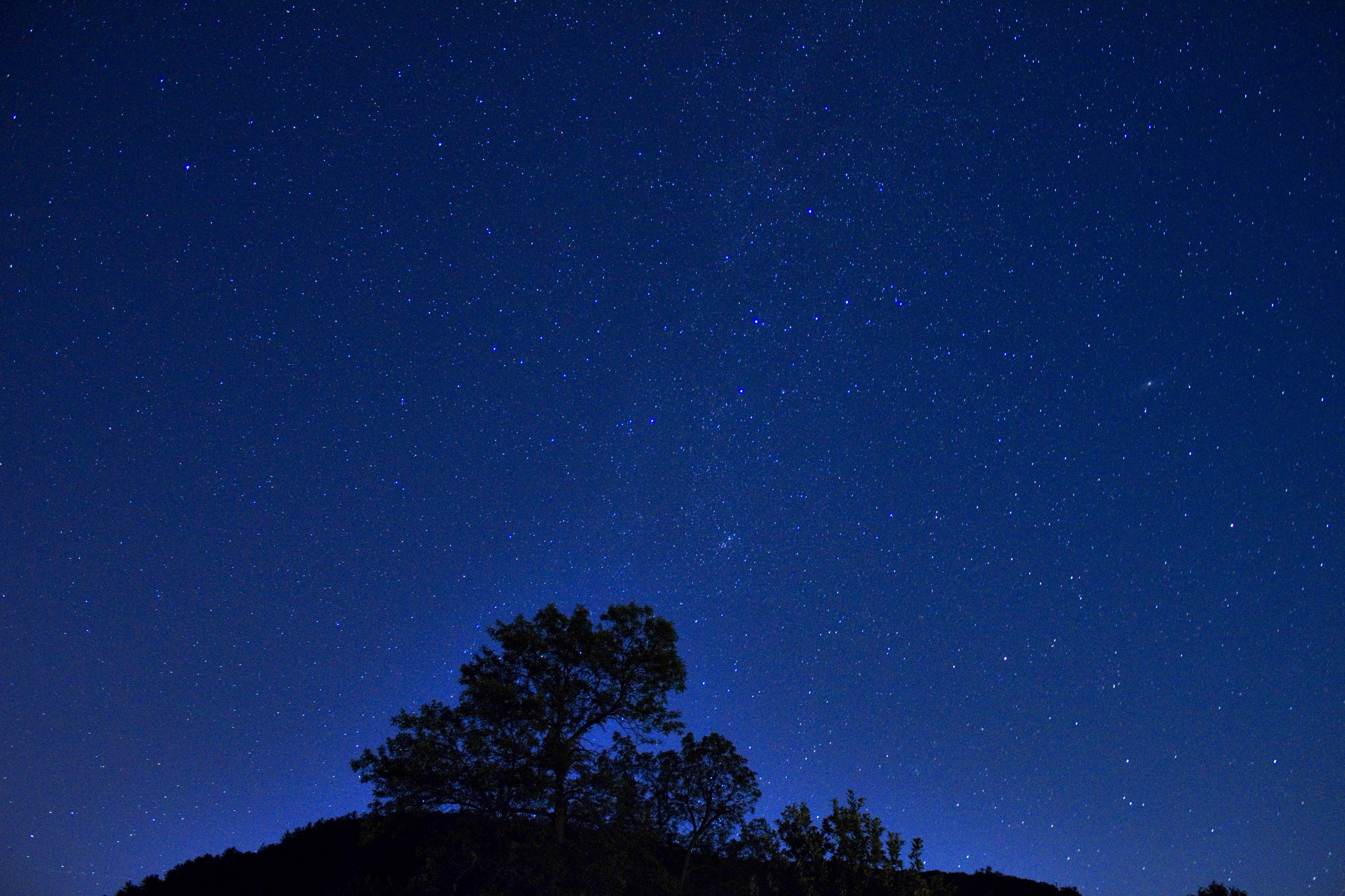 Stars Above the Night Sky