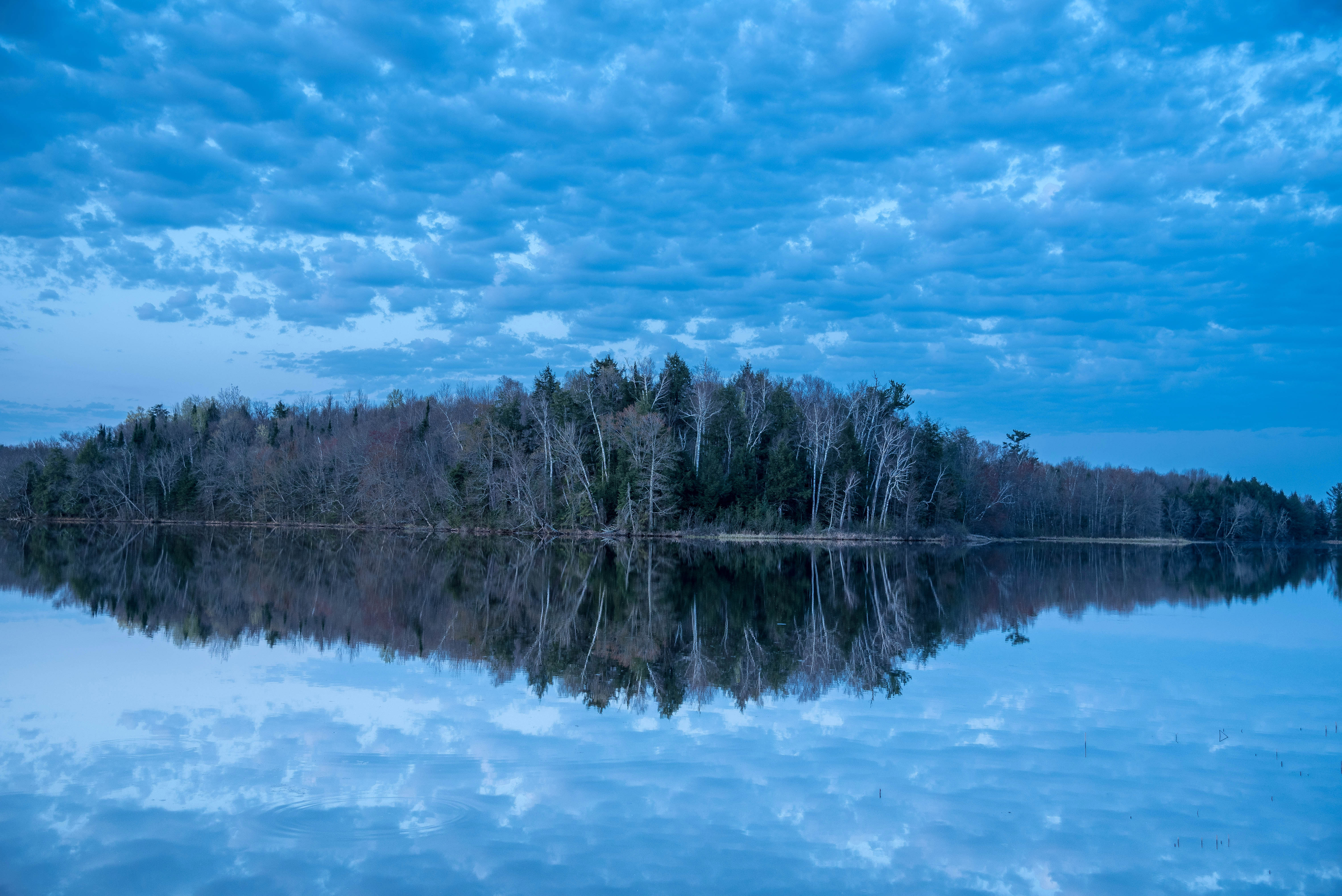 Reflections of Nature in the Early Morning image - Free stock