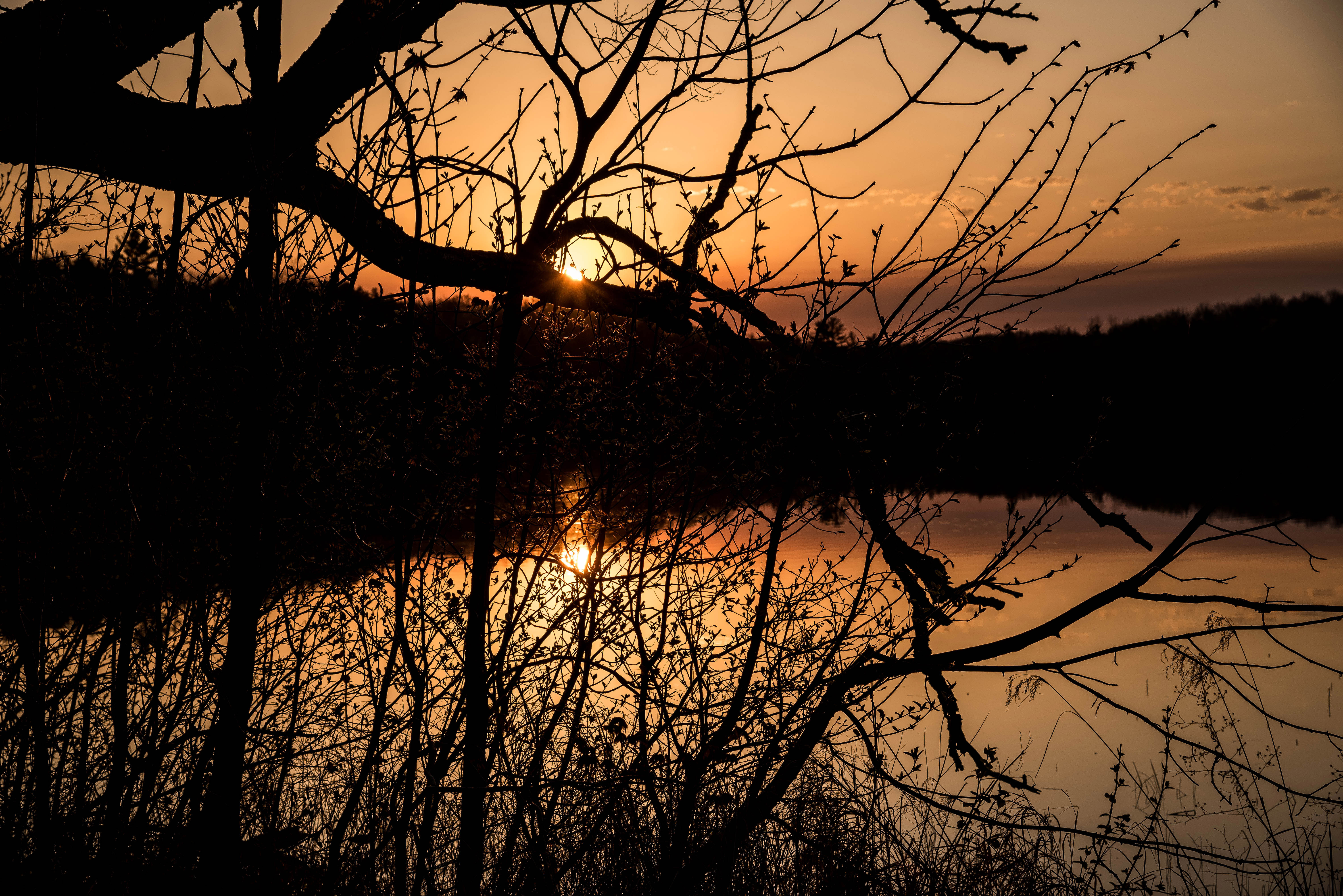 httpsunited stateswisconsinflambeau river state forest